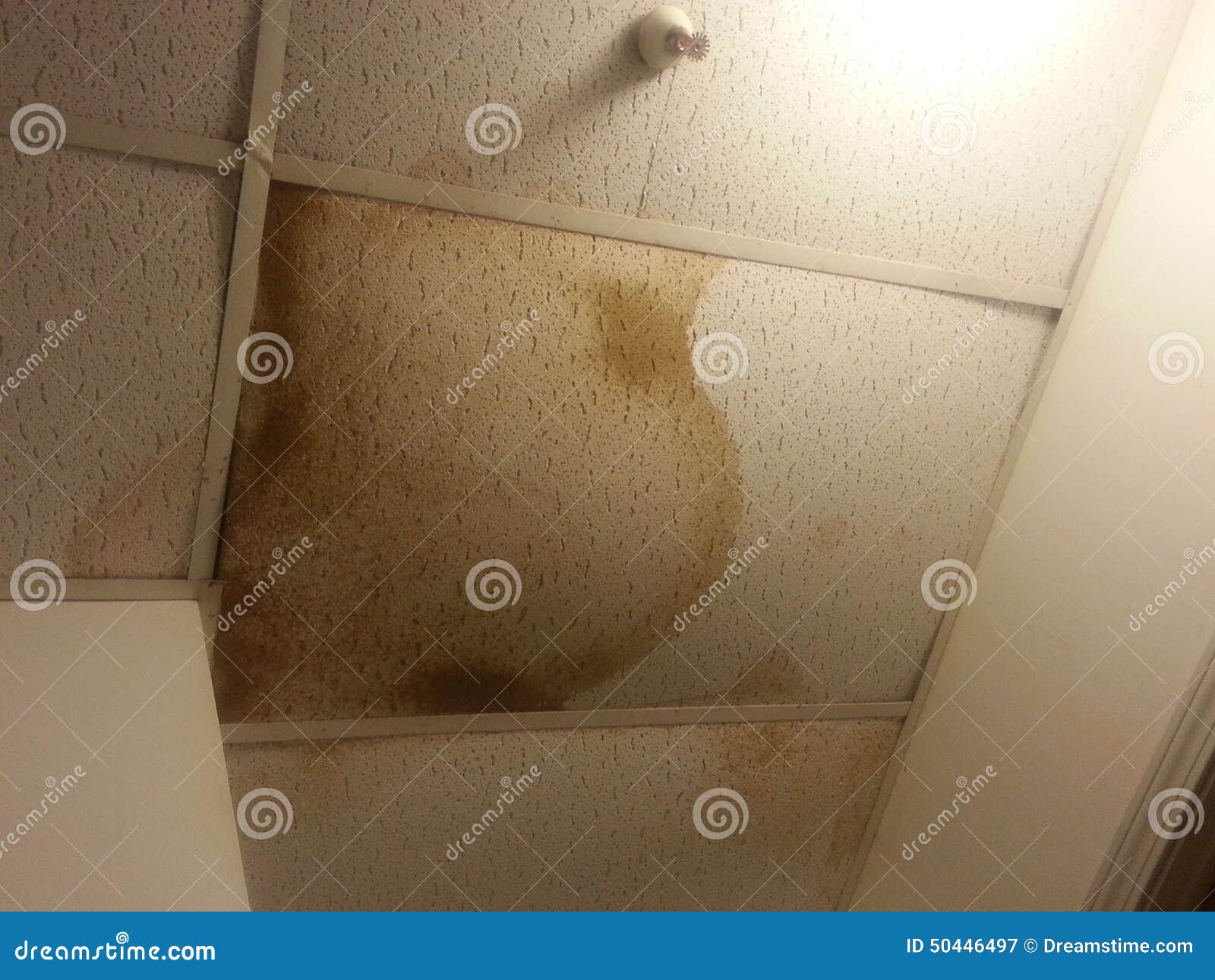 Water Damaged Ceiling Tiles Stock Image Image Of Caused Water