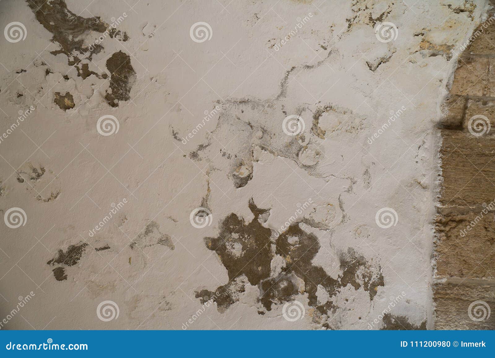 water damages and mold on the ceiling in the mamluks on the temple mount in jerusalem