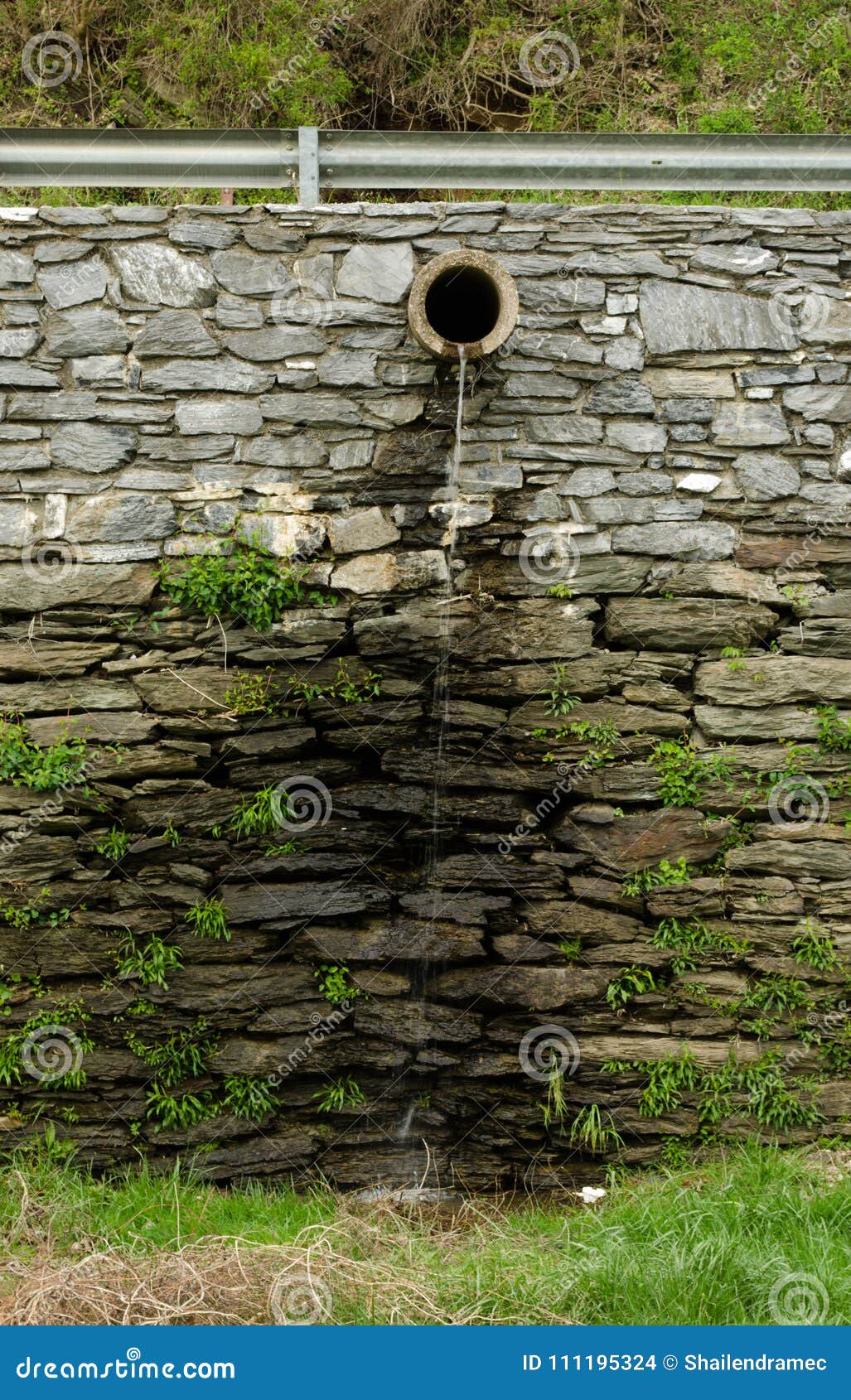Water dripping from a pipe stock photo. Image of green 111195324