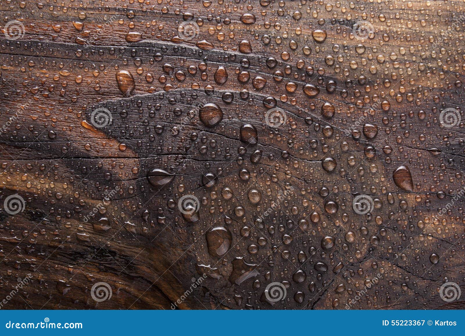 Water drop in burn wooden stock image. Image of protection 55223367