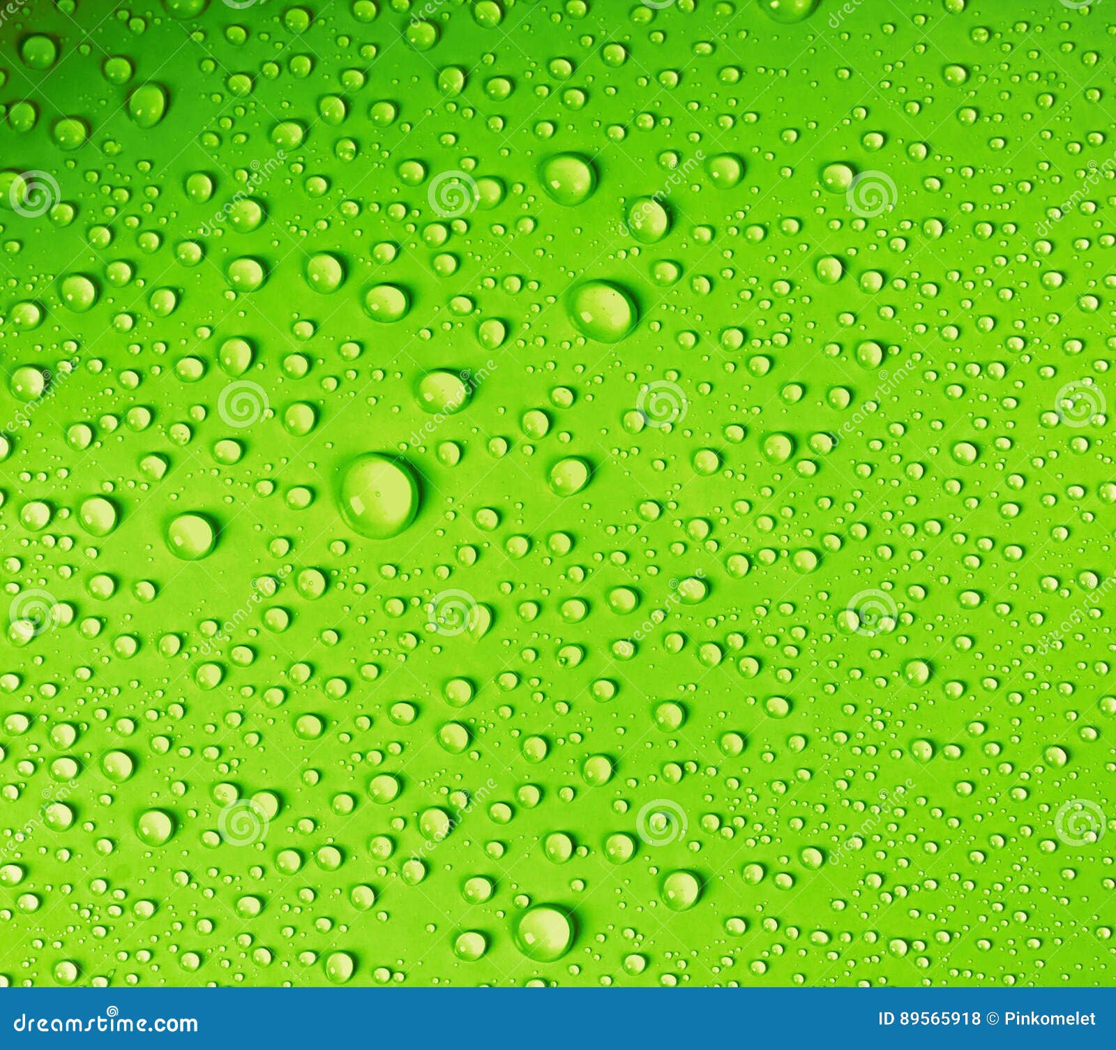 Water Drop on Fresh Light Green Background Stock Photo - Image of ...