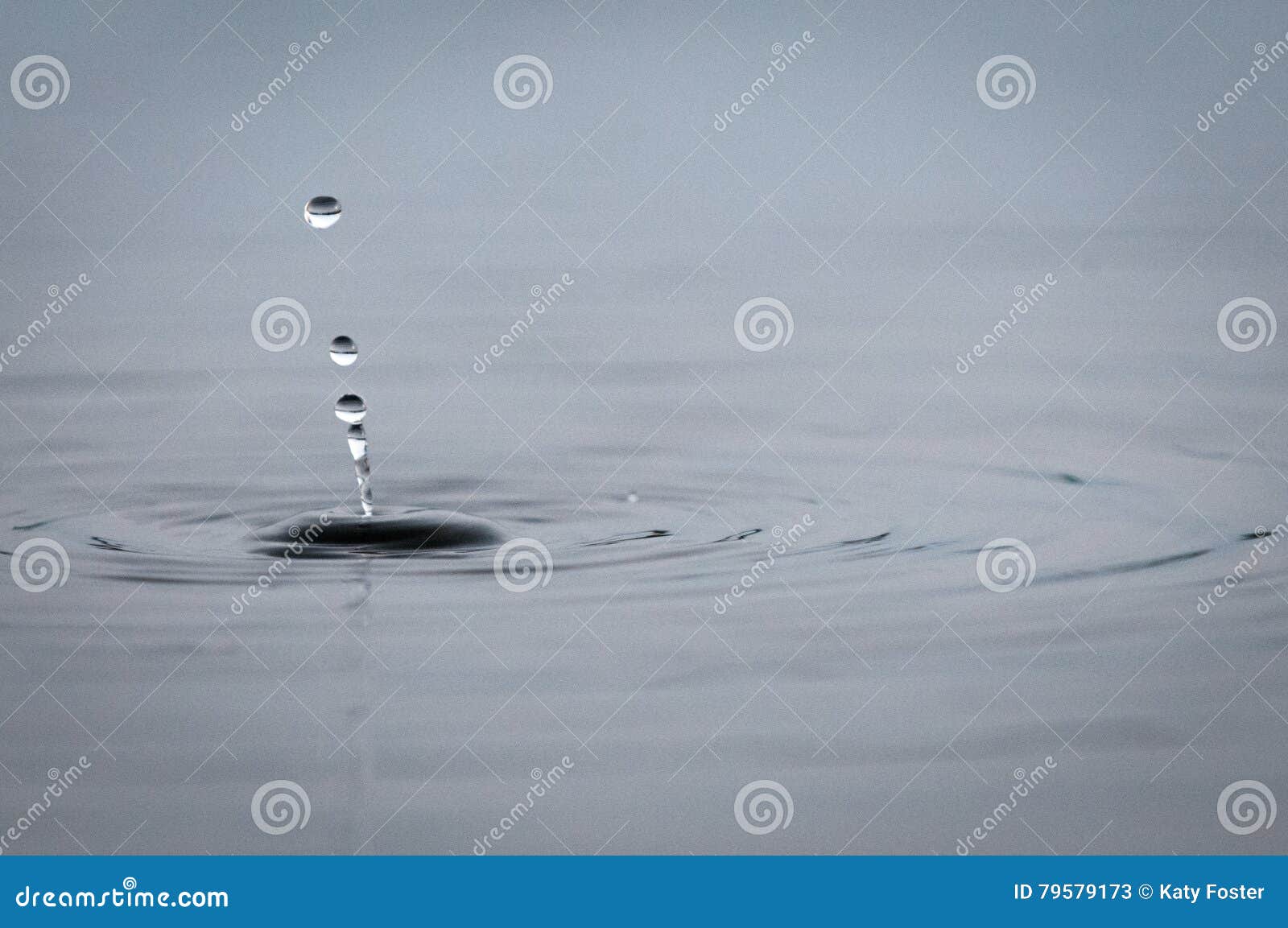 Water Droplets Falling into a Pond Creating Ripples Stock Image Image