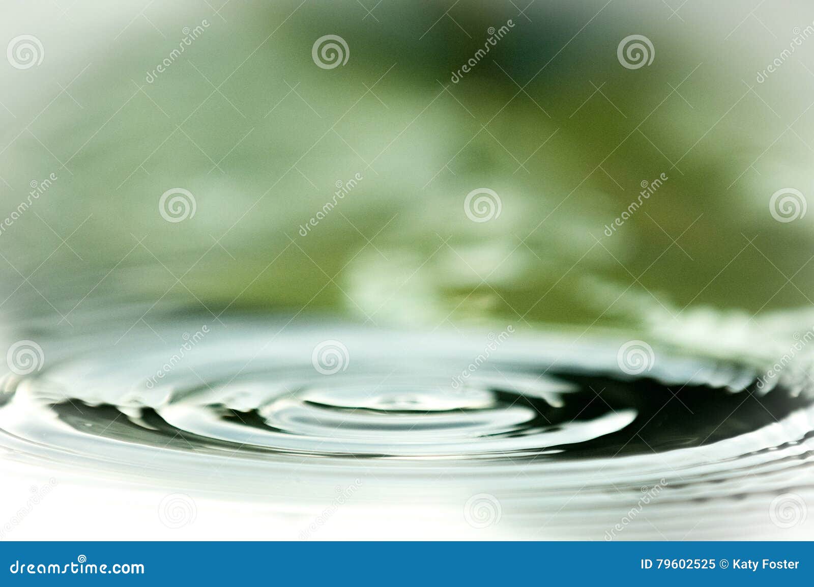 Water Droplets Falling into a Pond Creating Ripples Stock Image Image
