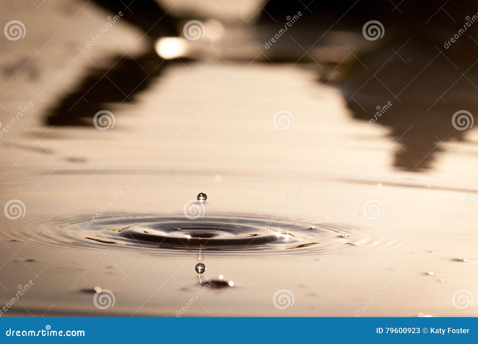 Water Droplets Falling into a Pond at Sunset Stock Image Image of