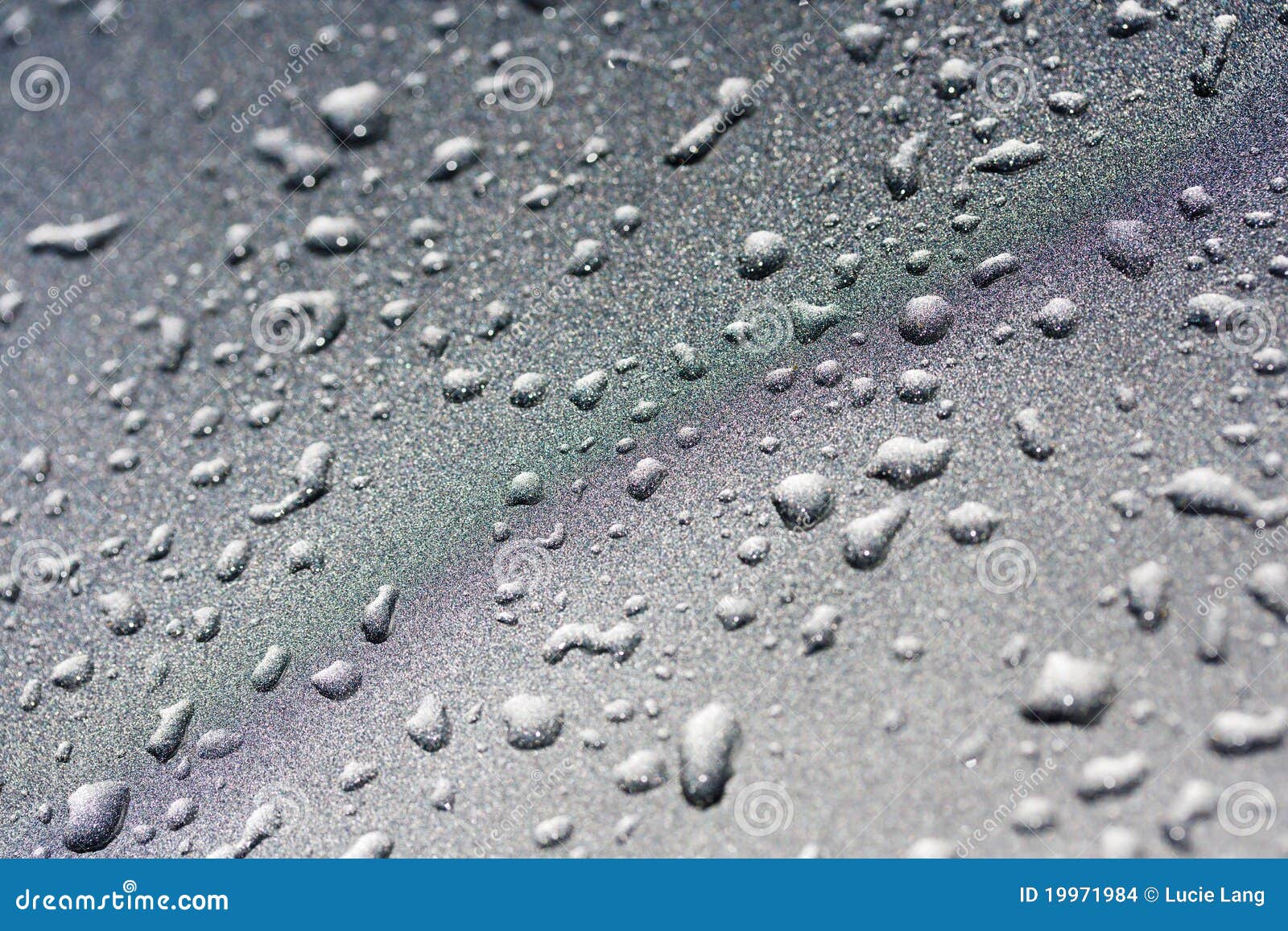 water droplets on a silver metalic background
