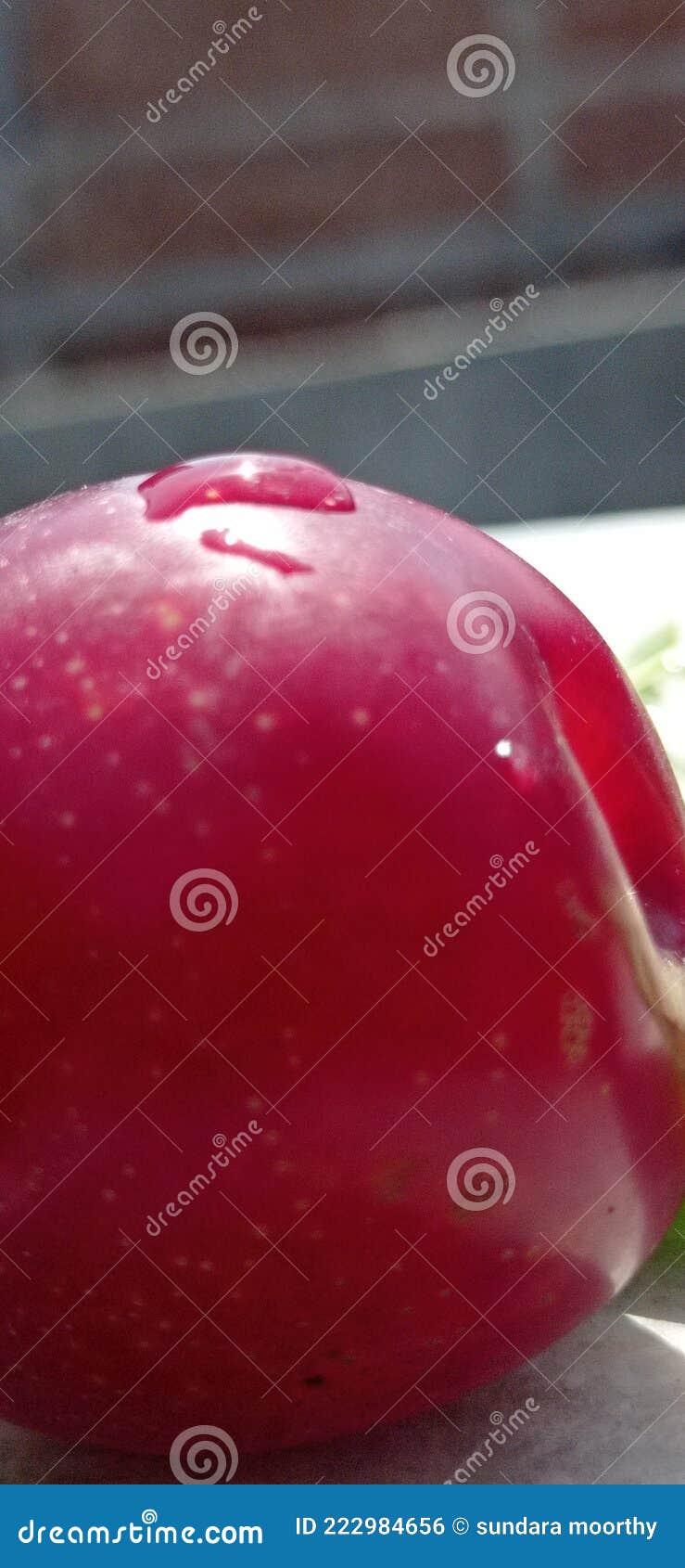Plum Fruit Dropping Water Stock Photos Free & RoyaltyFree Stock