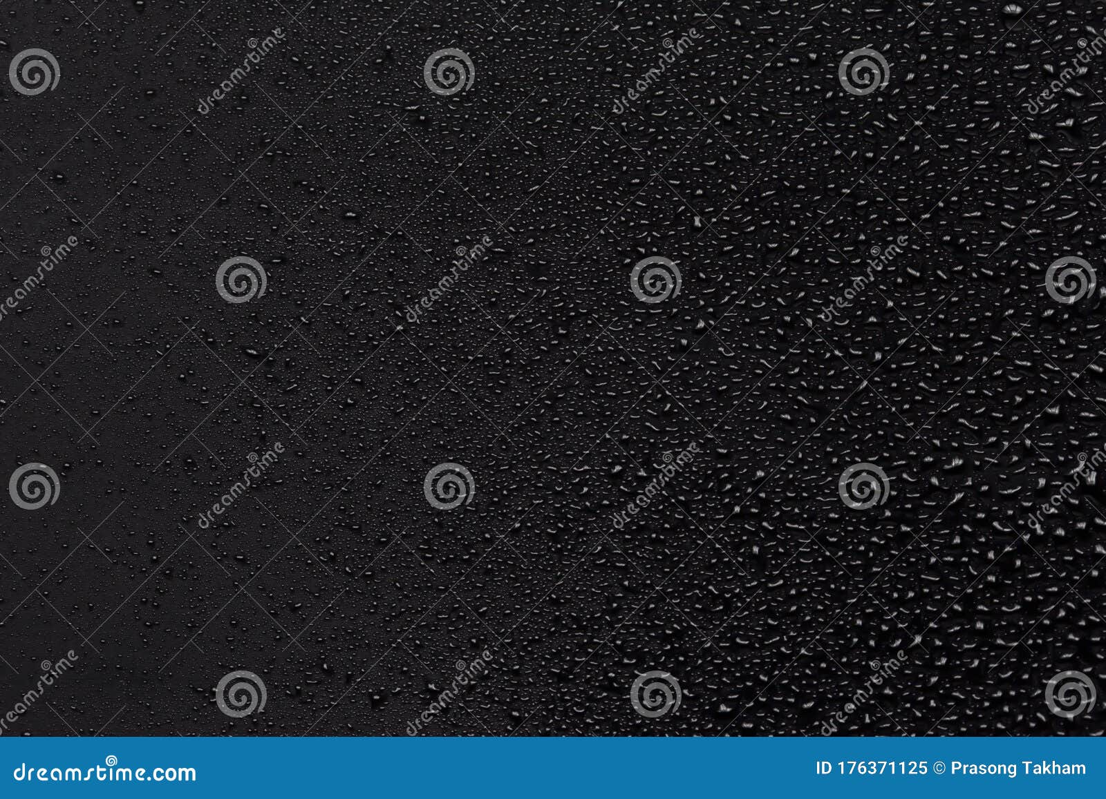 Water Drops on Black Background Stock Image Image of drop, closeup