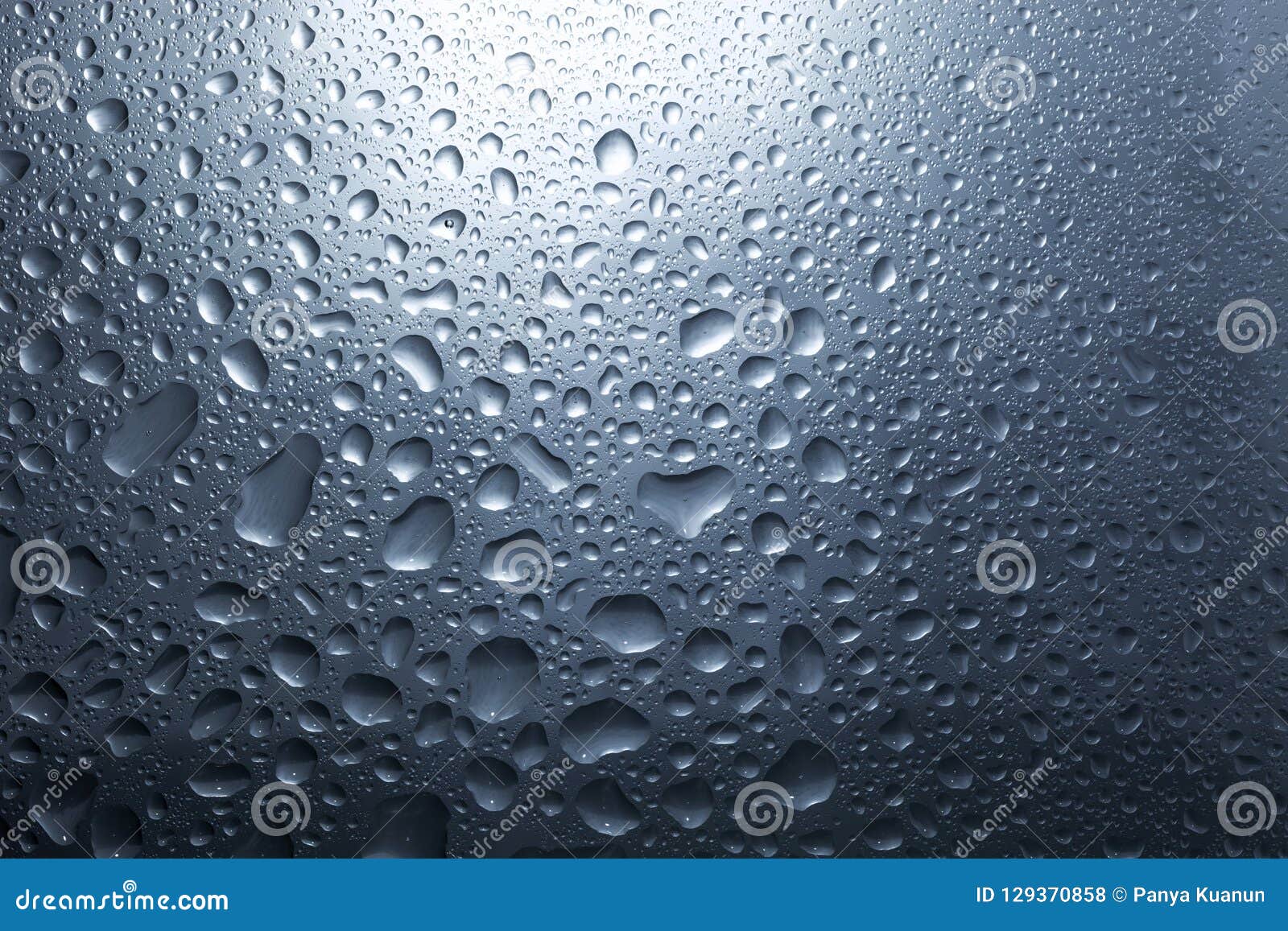 Water Drops on Dark Wall and Light, Water Drop for Background an Stock