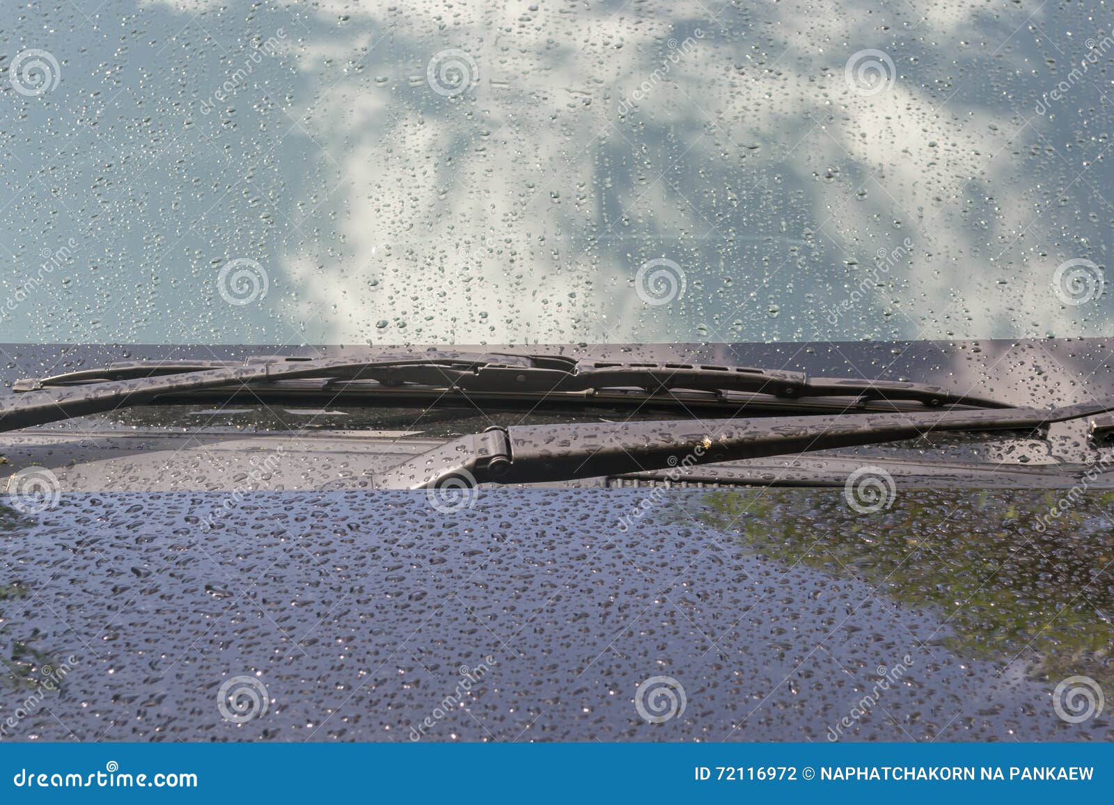 Water Drops on the Hood and Windshield of Black Car Stock Photo Image