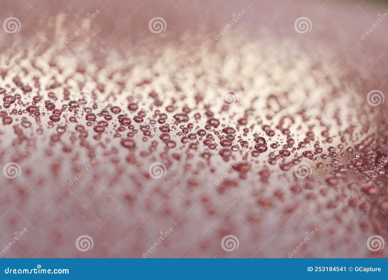 Water Drops on a Hydrophobic Car Paint Surface Stock Image Image of