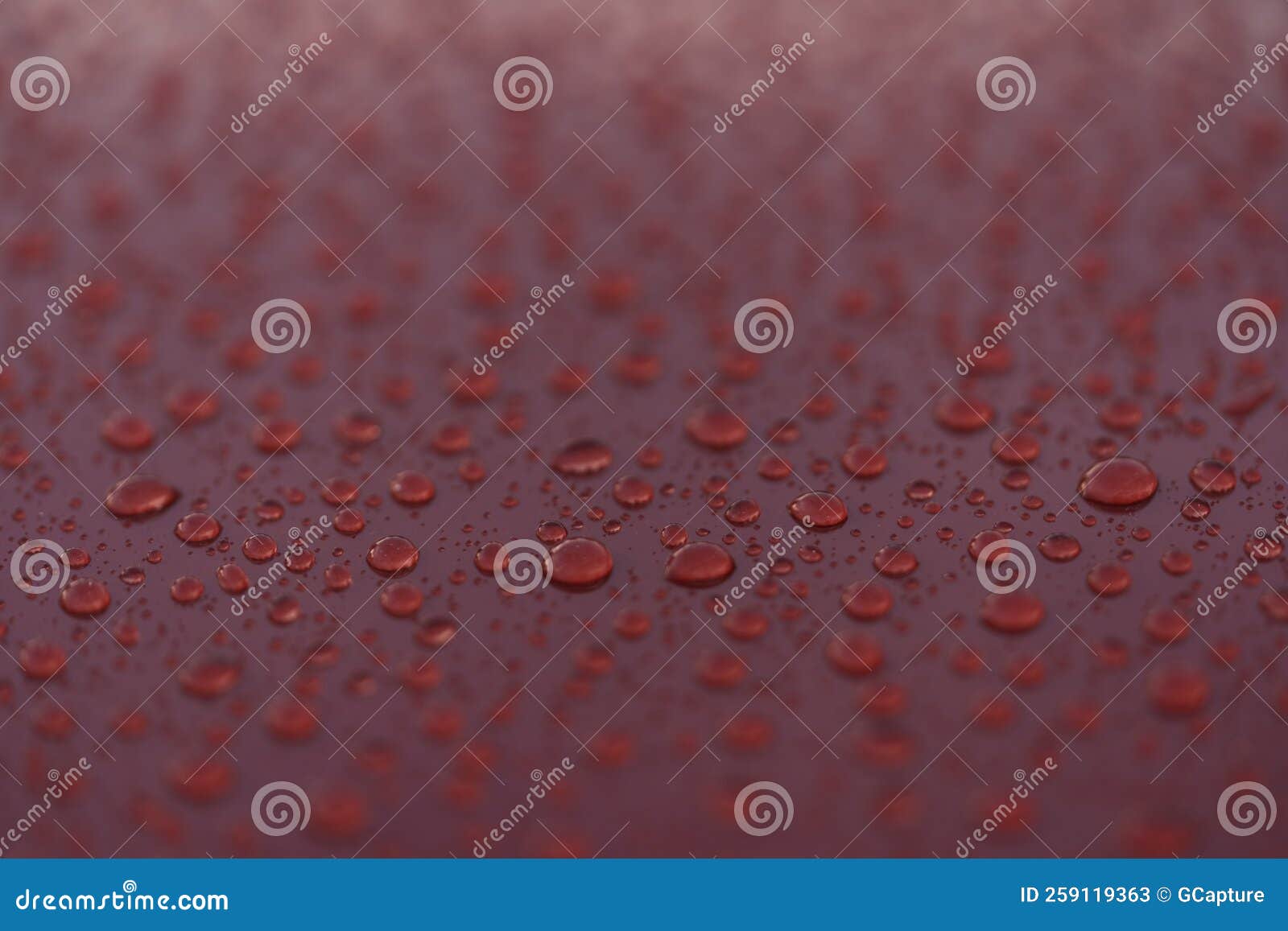 Water Drops on a Hydrophobic Car Paint Surface Stock Image Image of