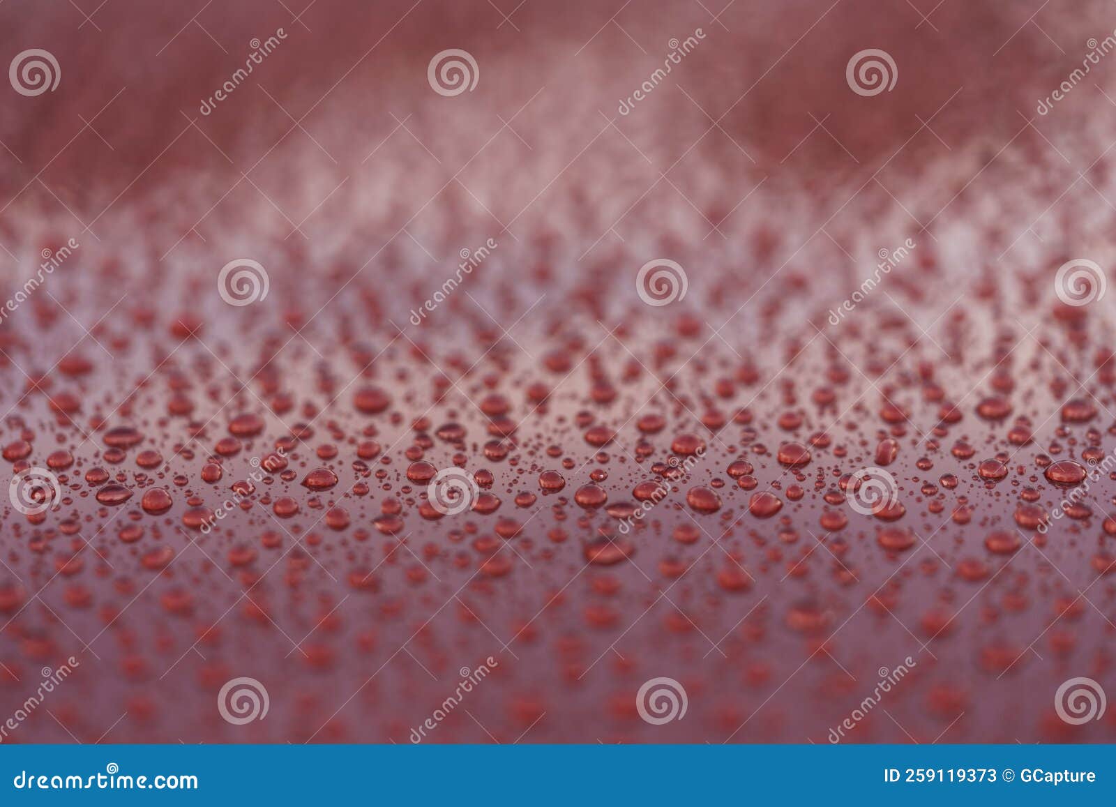 Water Drops on a Hydrophobic Car Paint Surface Stock Image Image of