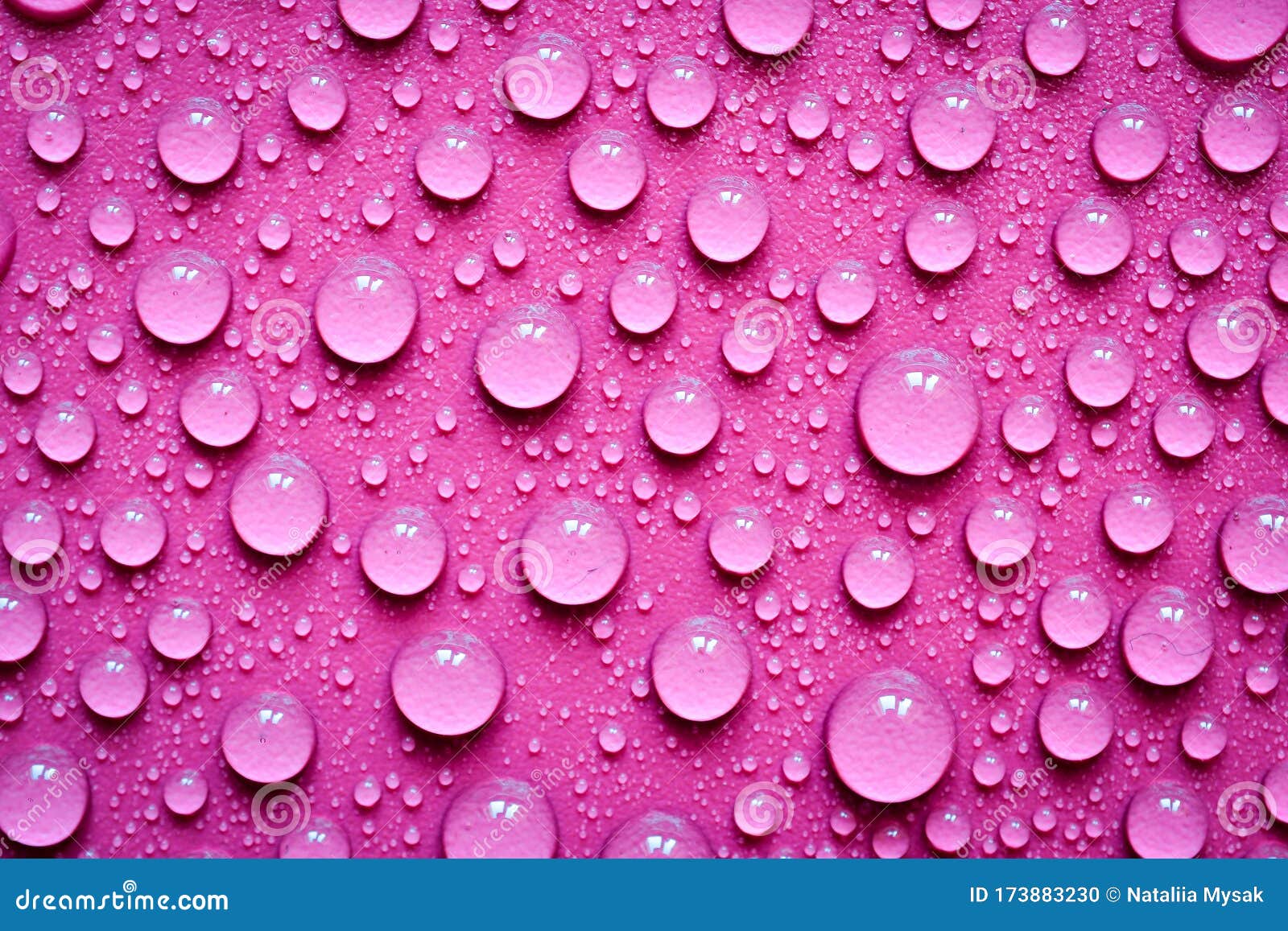 Water Drops on Violet stock photo. Image of environment 173883230