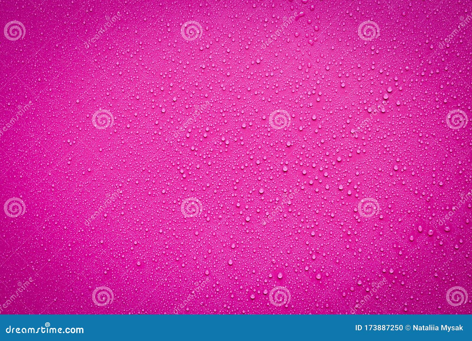 Water Drops on Violet stock photo. Image of pure, violet 173887250