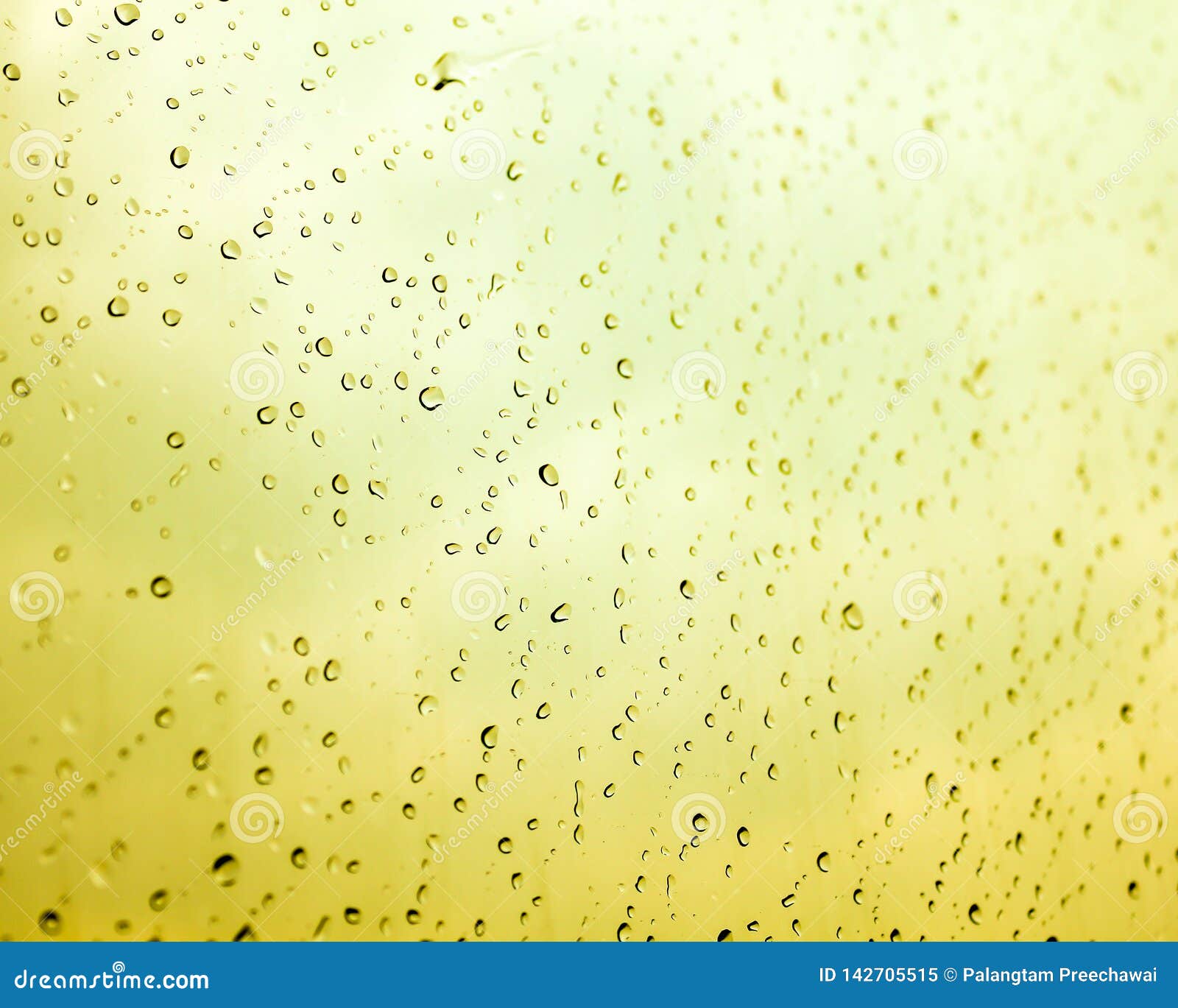 Water Drops with the Yellow Background Stock Image Image of natural