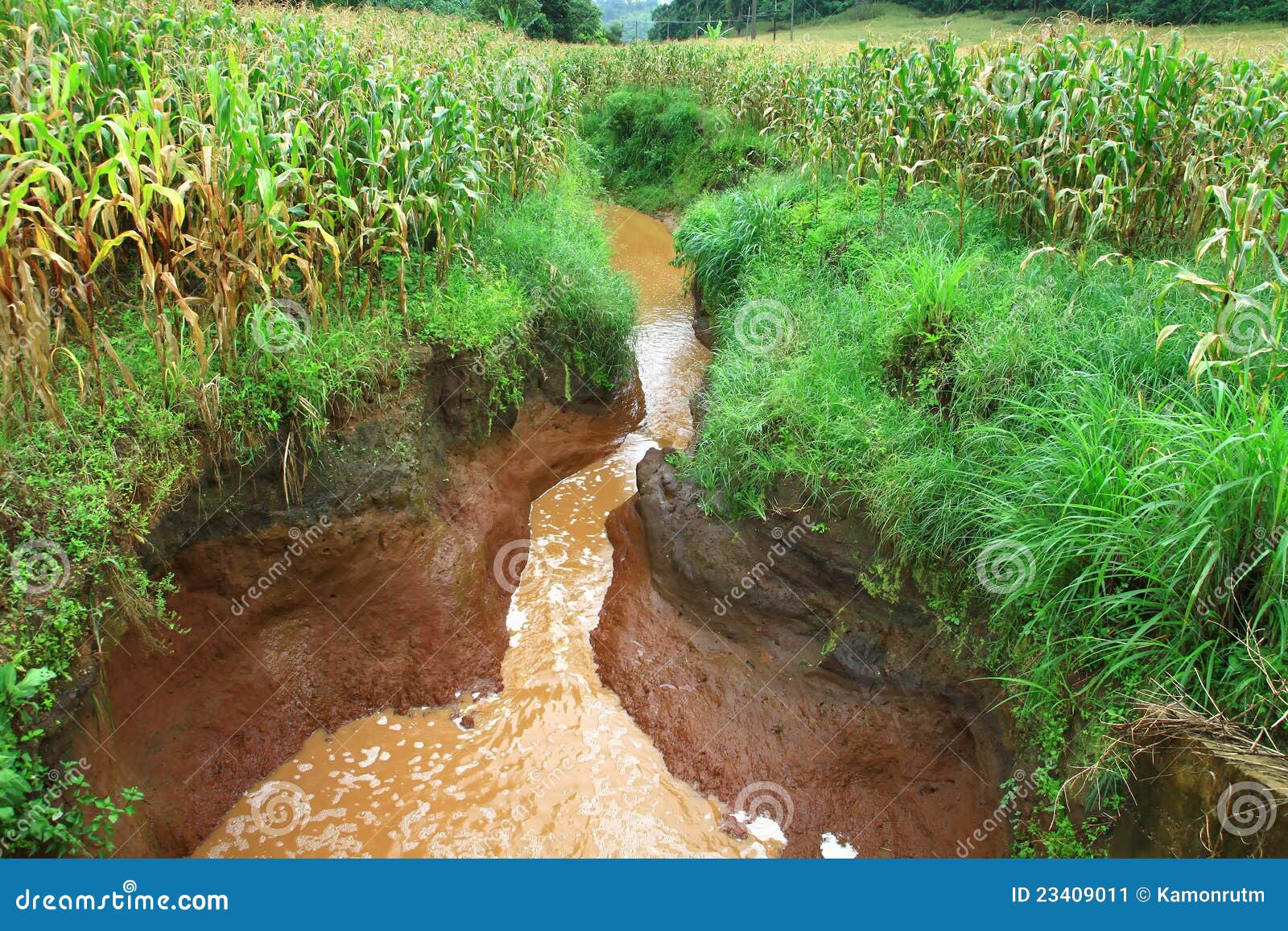 soil erosion by water