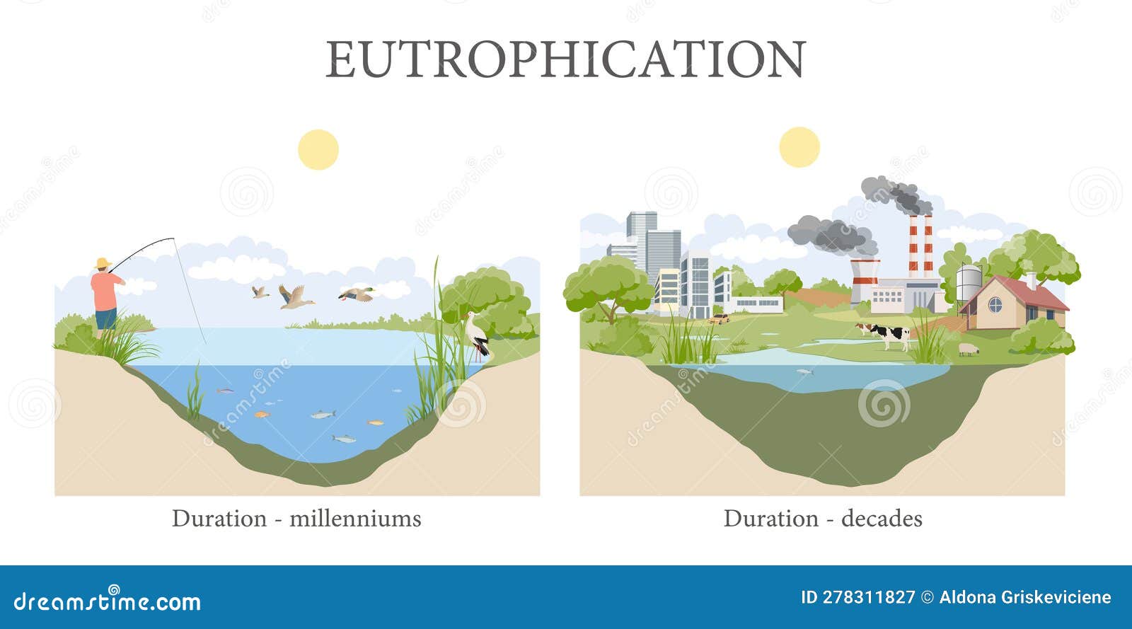 Eutrophication Effects Biology Diagrams