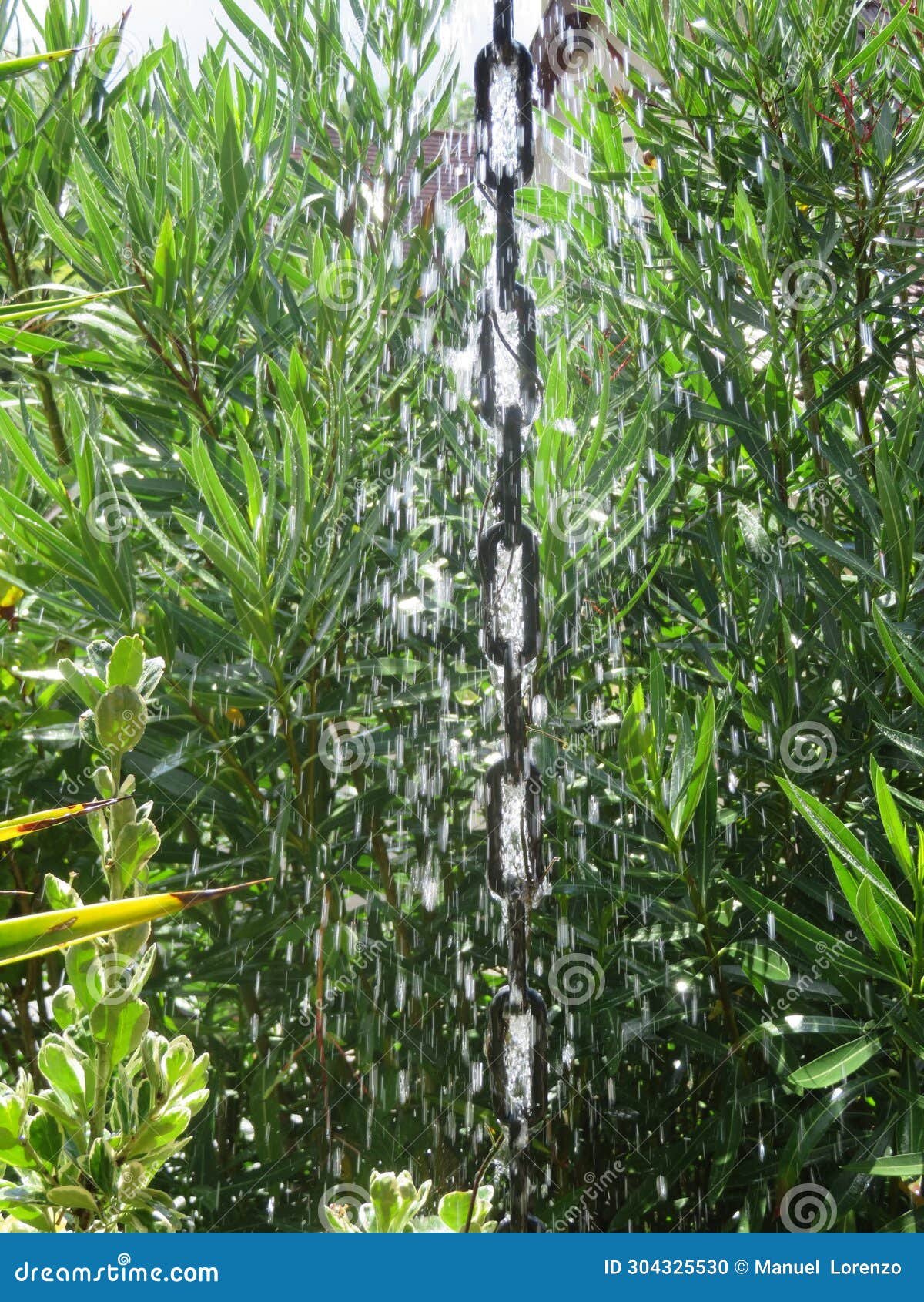 water falling from the sky rain get wet deluge water nature