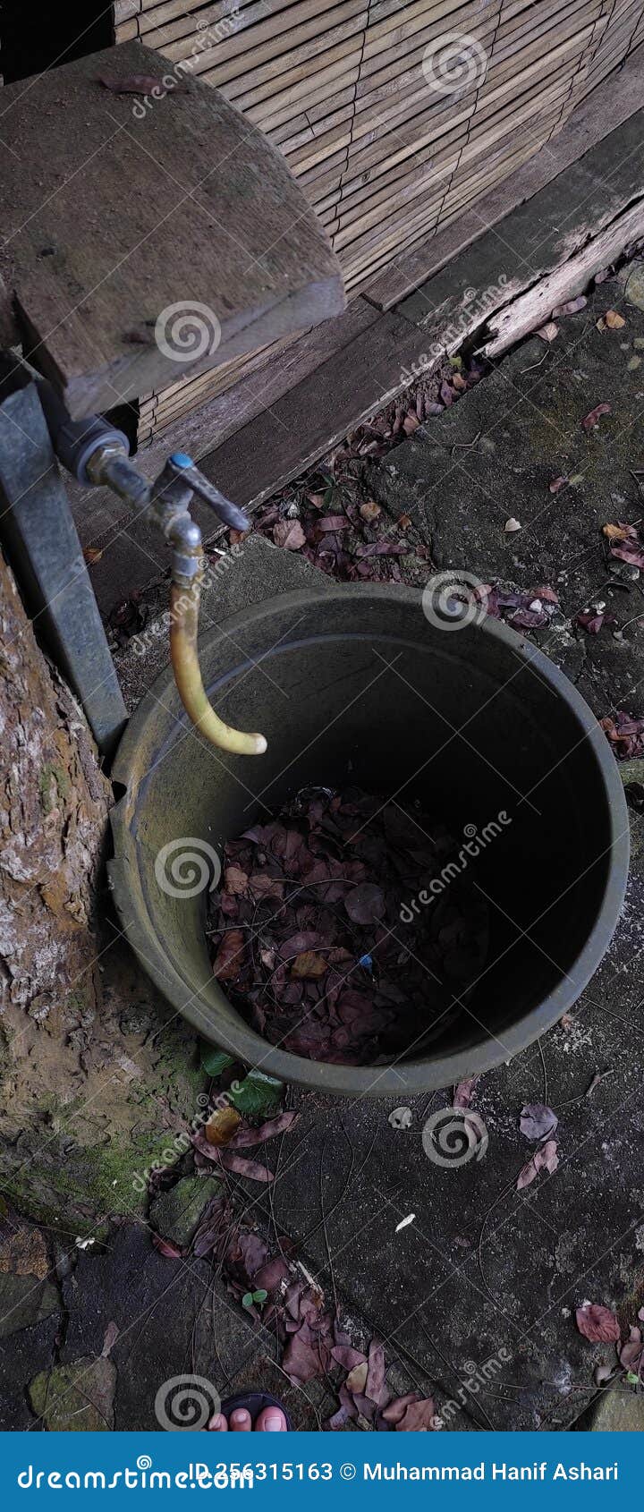 The Water Faucet is Worn and Dirty, Not Maintained, Has Germs Stock Image Image of water, leaf