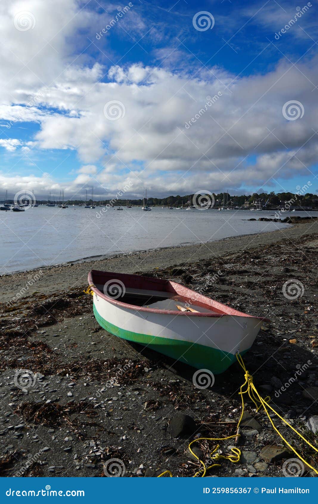 Water-filled Row Boat Beached on Shore Stock Image - Image of landscape