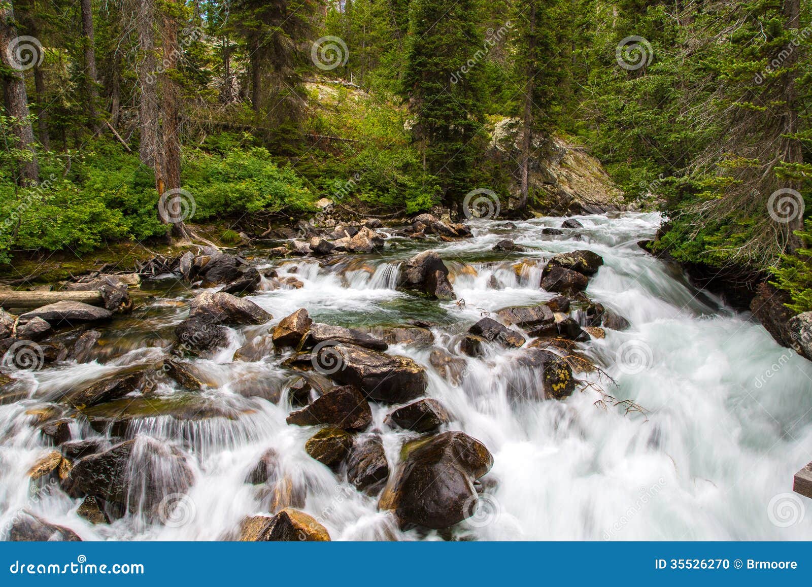 Peaceful river waterfalls, birds chirping, babbling streams