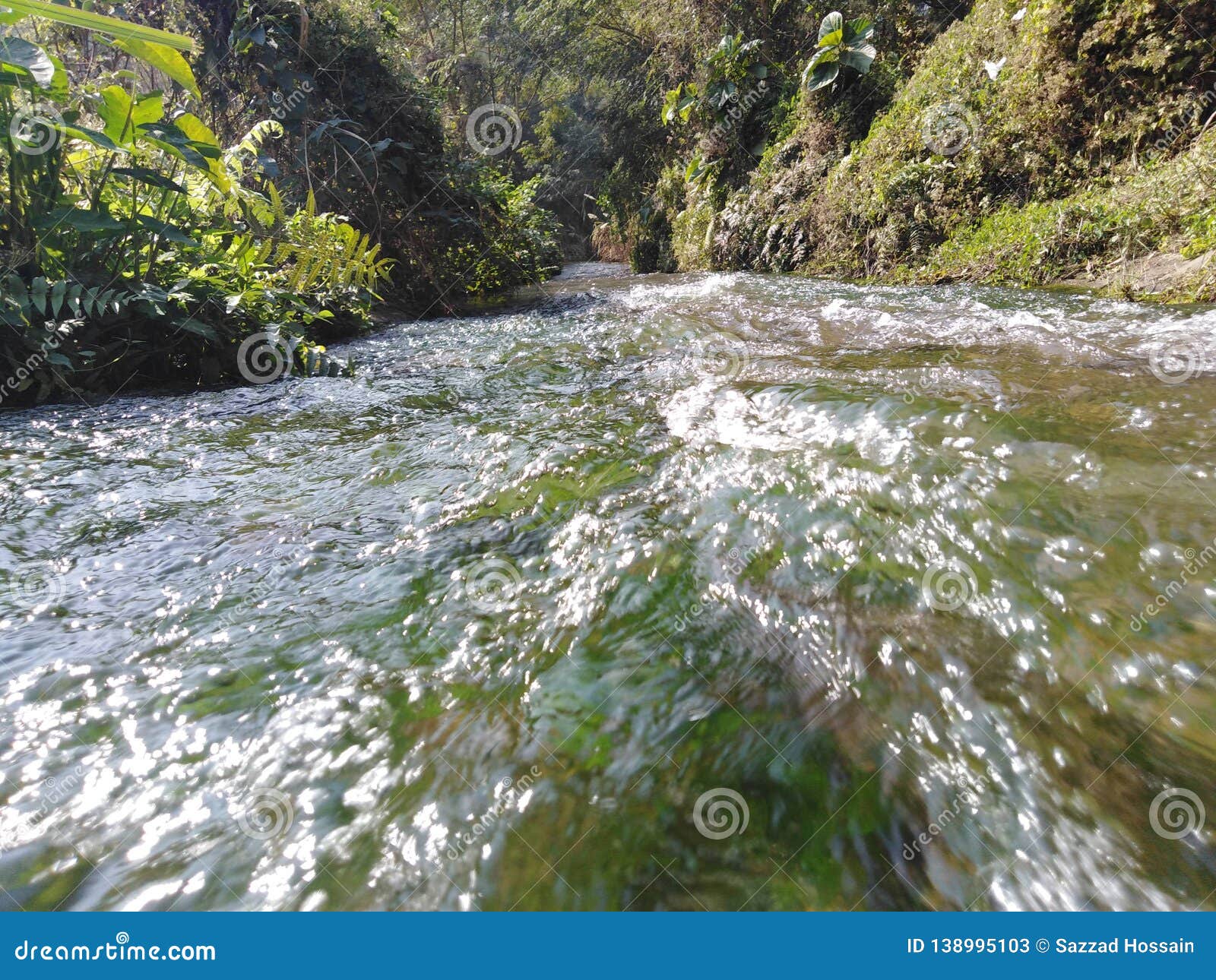 Meet the water the nature series