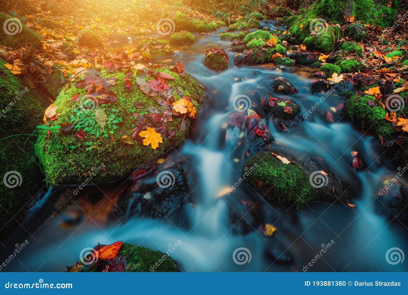 Water Flowing in Forest Long Exposure Beautiful Fall Wallpaper Stock Photo - Image of green, leaves: 193881380 Water Flowing in Forest Long Exposure Beautiful Fall Wallpaper Stock Photo - Image of green, leaves: 193881380
