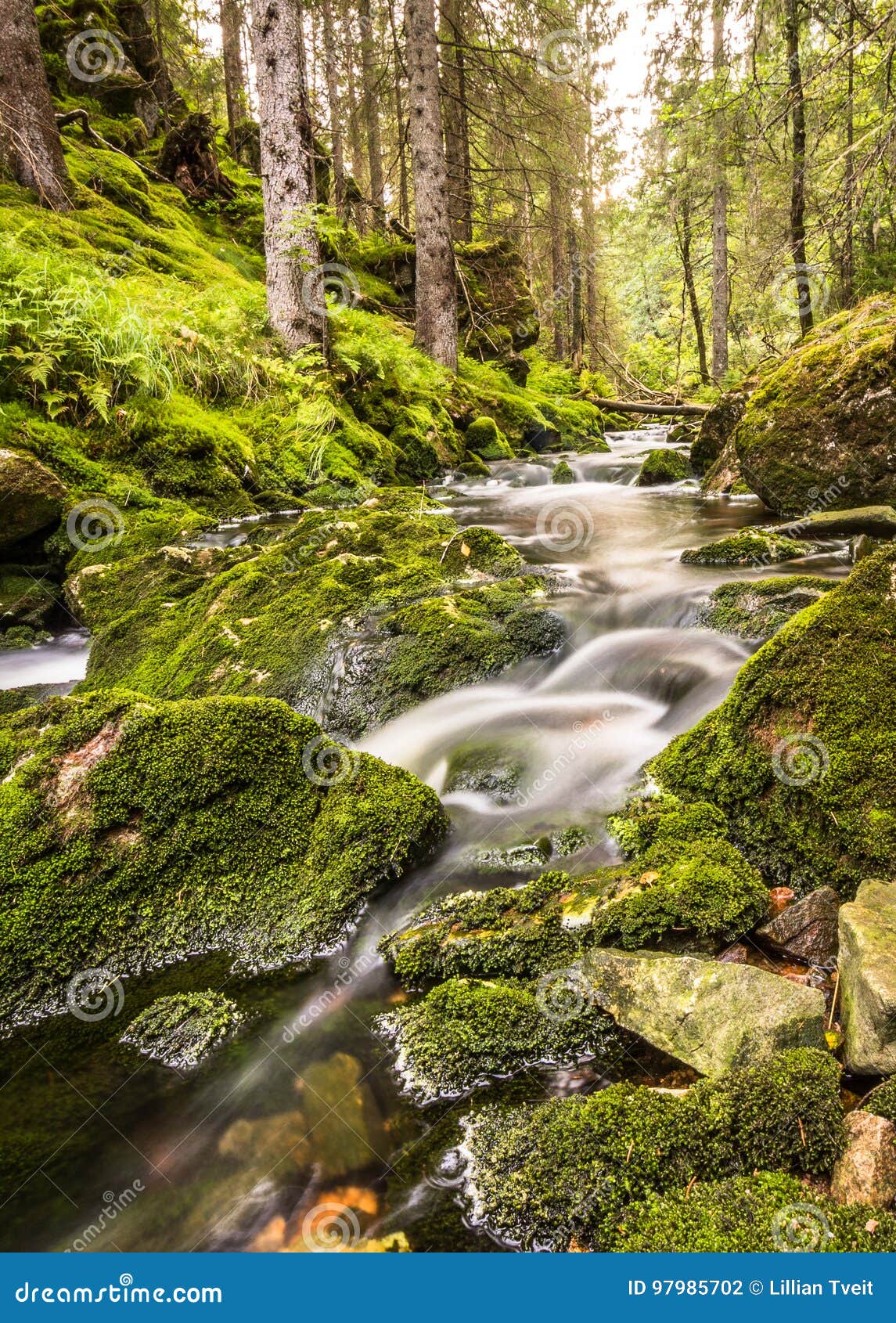water flow in a stream, long exposure, vertical