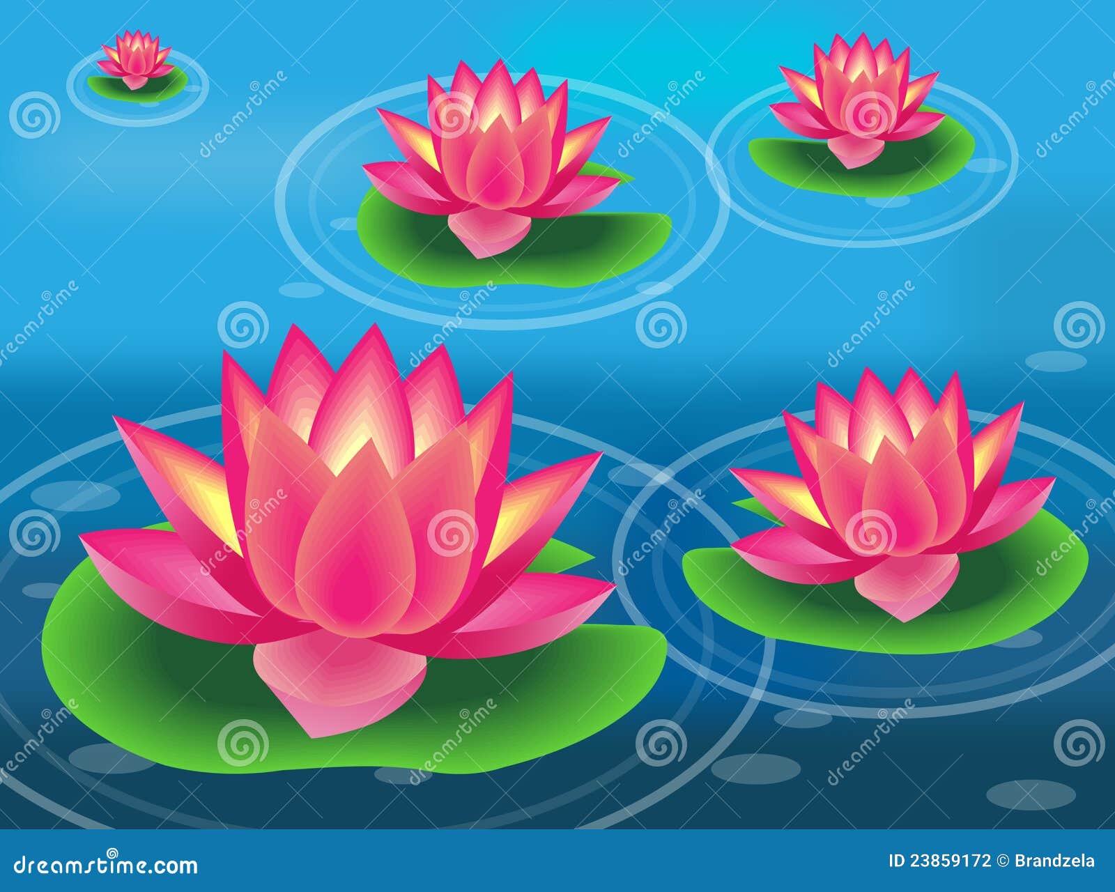 water flower and lily pad