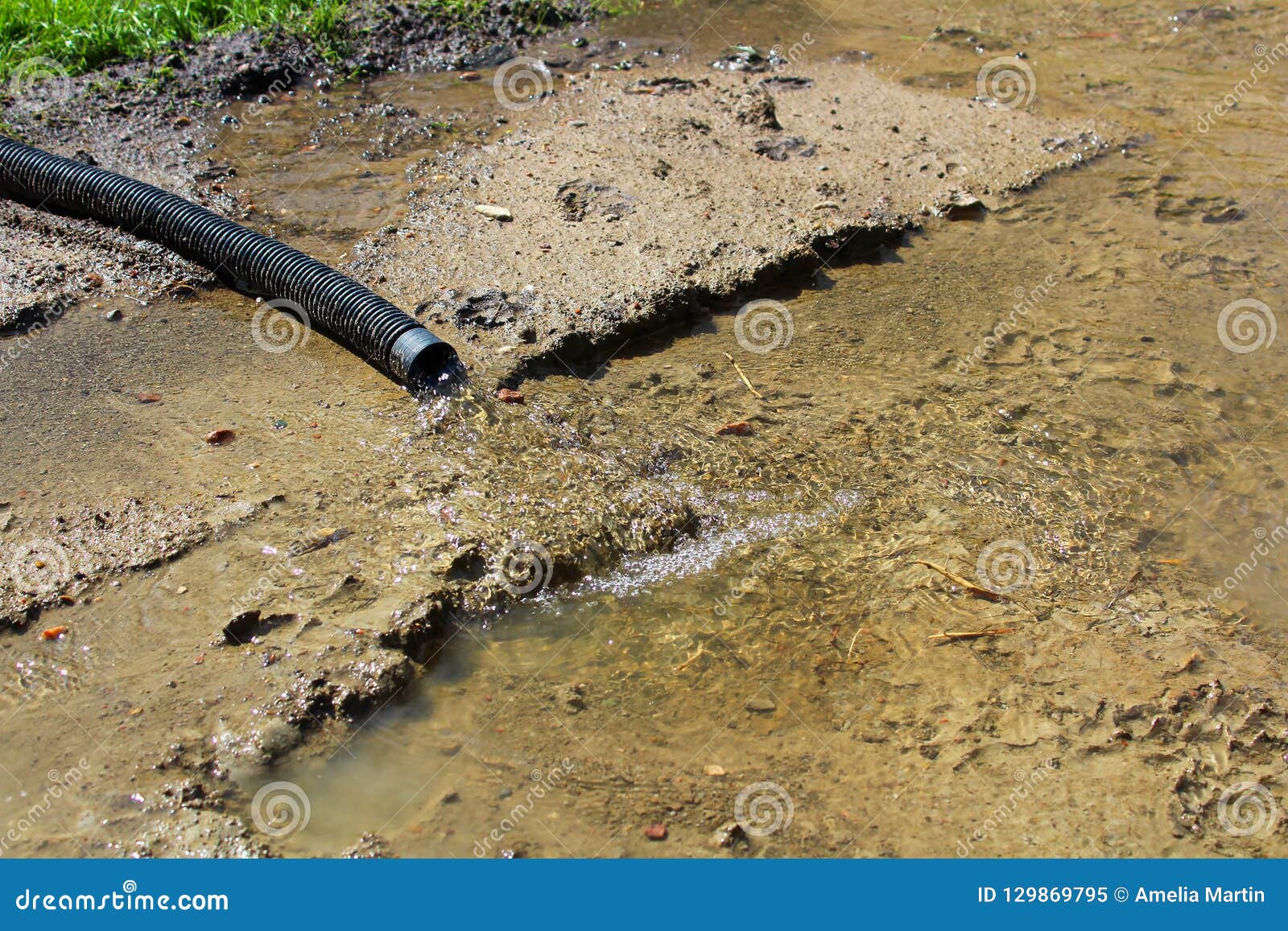 Water Flowing Out of a Discharge Hose Stock Image Image of line, tube