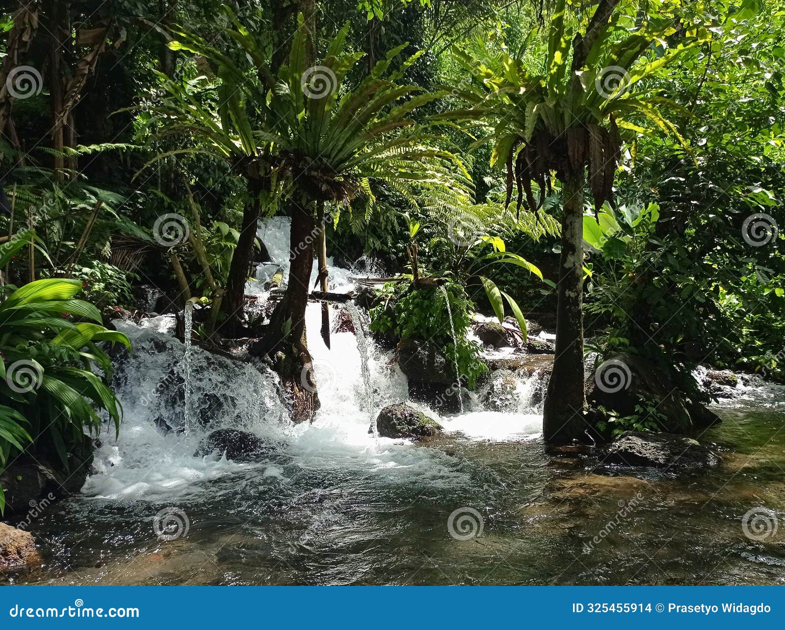 little waterfall in tukad arca bathing karangasem bali