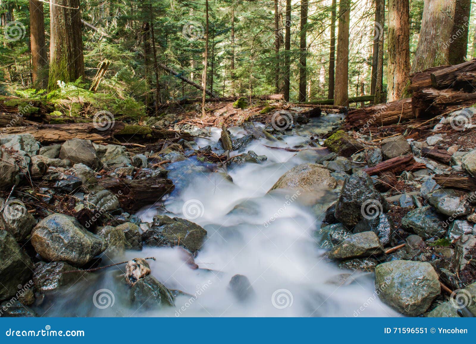 Water Flowing in River Downstream Stock Image Image of range, nature