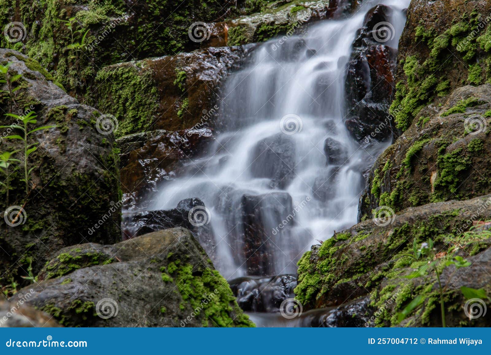 The Water Flows Through The Mossy Rock Like A Small Waterfall Stock