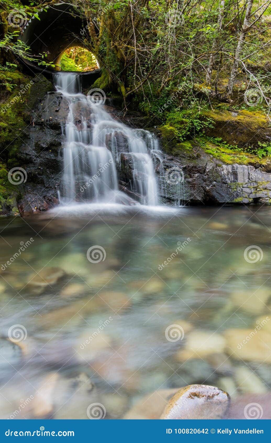 Water Flows into Smooth Creek Stock Photo Image of cascade, stream