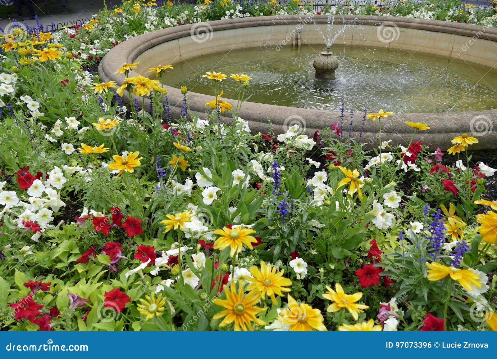 Water Fountain in the Park with Flowers Stock Photo Image of foliage