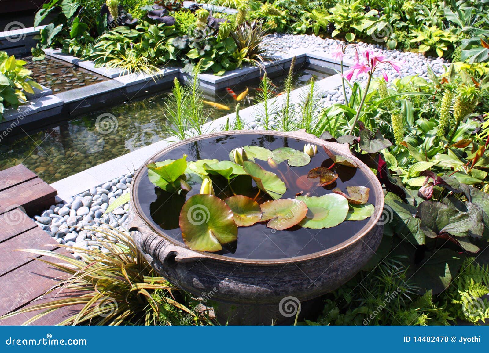 Water garden stock photo. Image of spring, plants, summer 14402470