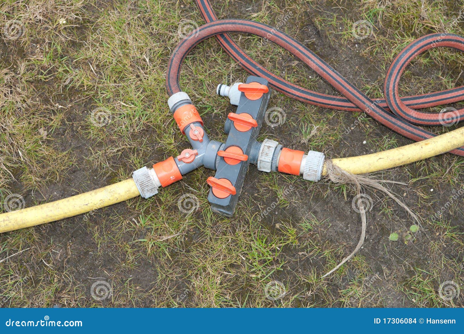 Water hose connection stock photo. Image of garden, close 17306084