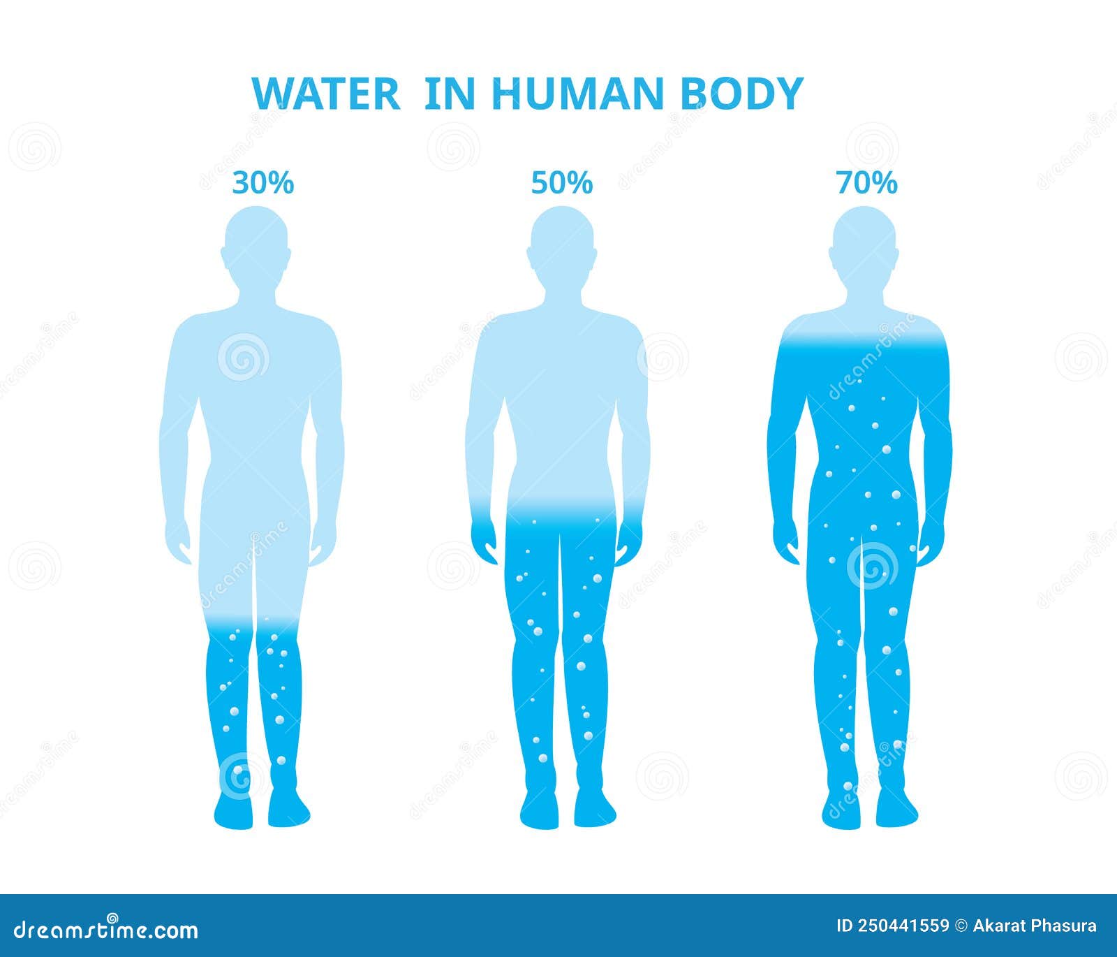 body made of water percentage