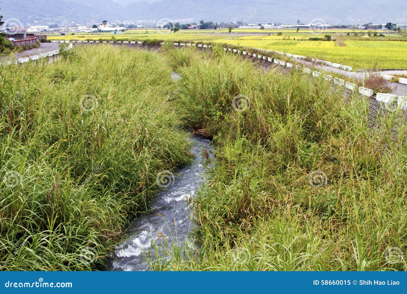 Water of Irrigation in Canal Stock Image Image of green, river 58660015