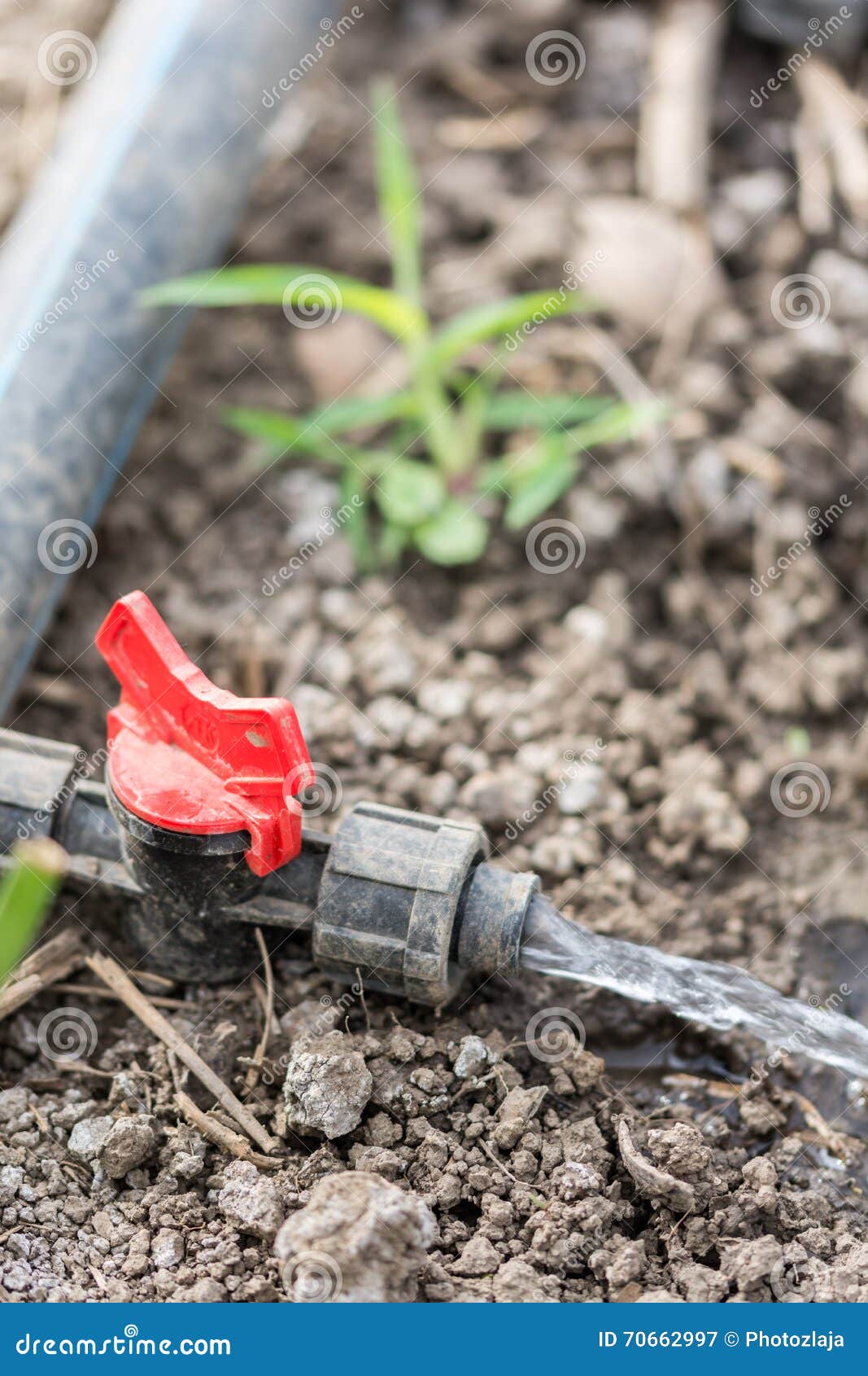 Water Irrigation Pump Greenhouse Leaks Stock Image Image of seed