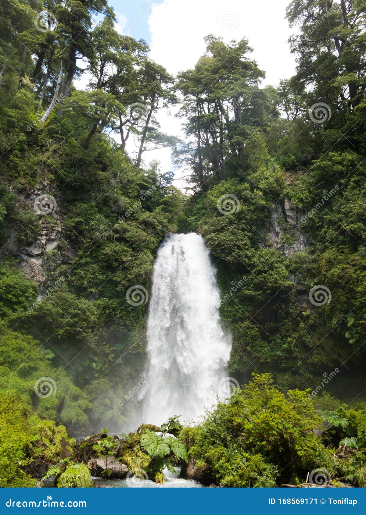 water jump el rincon of el venado river, in conaripe, panguipulli, in the middle of the villarica national park. in araucania or
