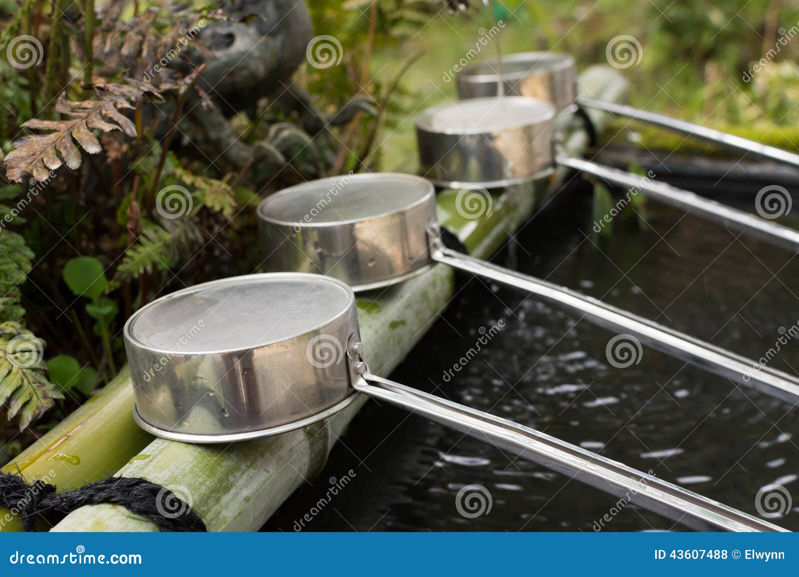 Water ladle stock photo. Image of shrine, basin, asian 43607488