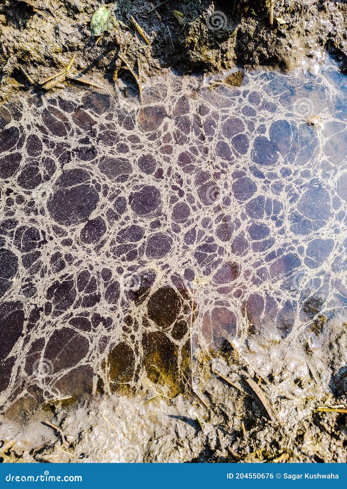 Water League Outdoor Place Image Stock Photo Image of water, outdoor