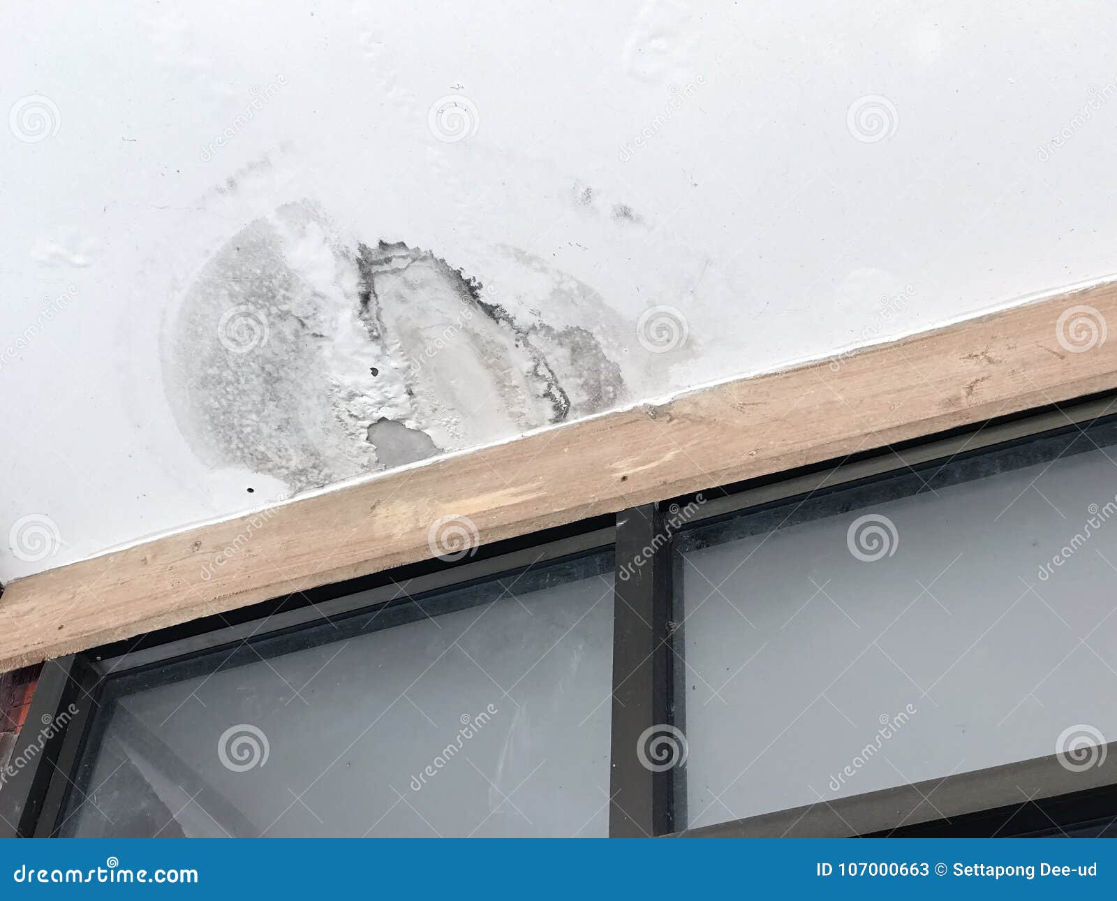 Water Leaking on Ceiling House Stock Image Image of water, leaking