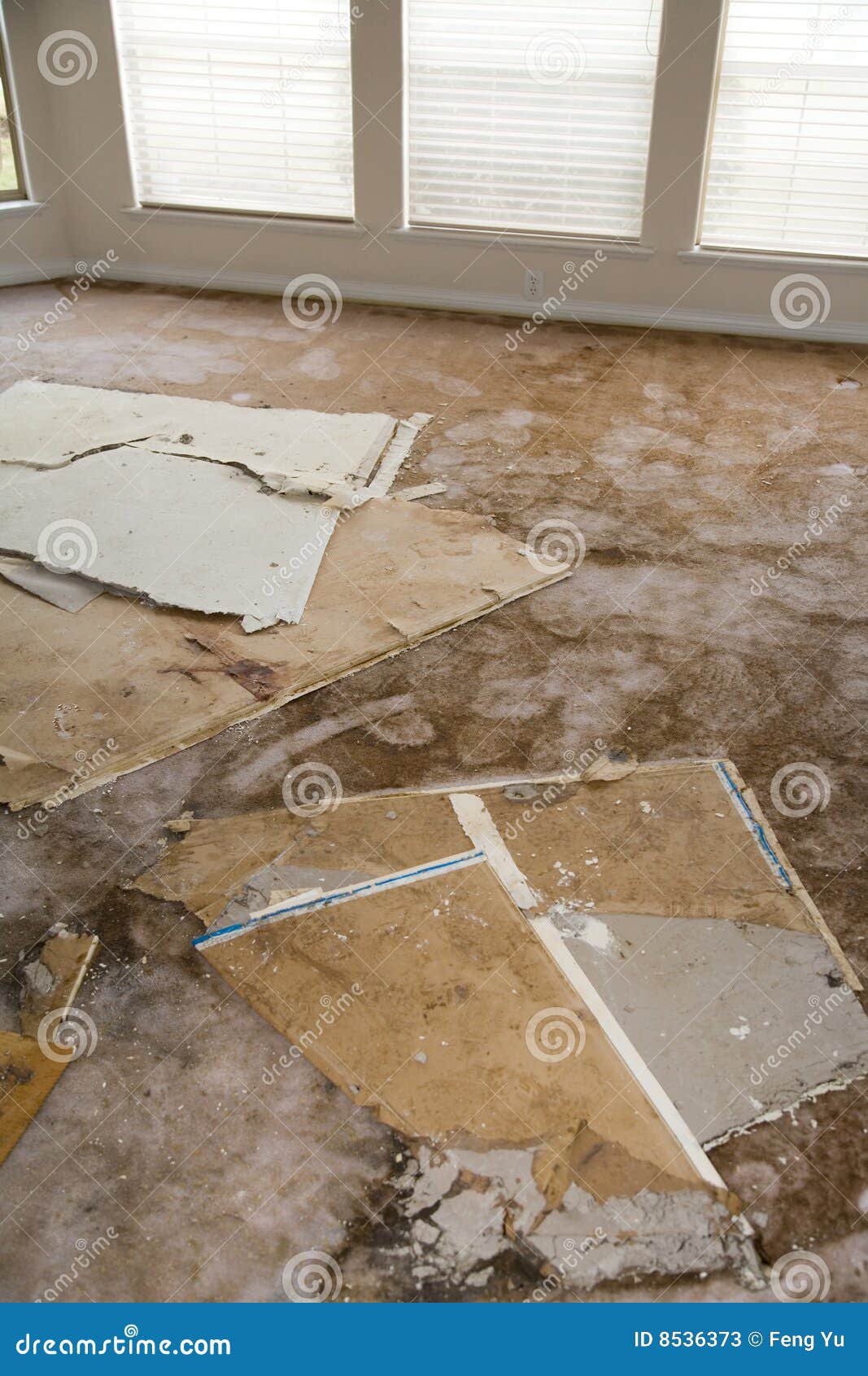 Water Leaking Damaged Plasterboard and Carpet Stock Image Image of