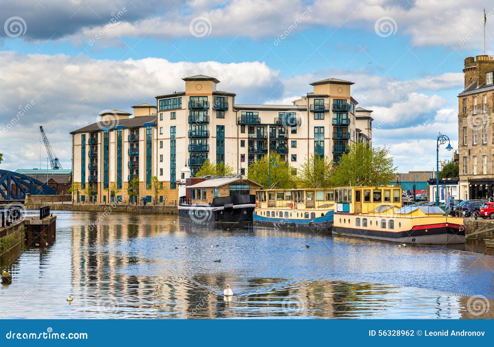 Water of Leith, a River in Edinburgh Stock Photo Image of bird, coast