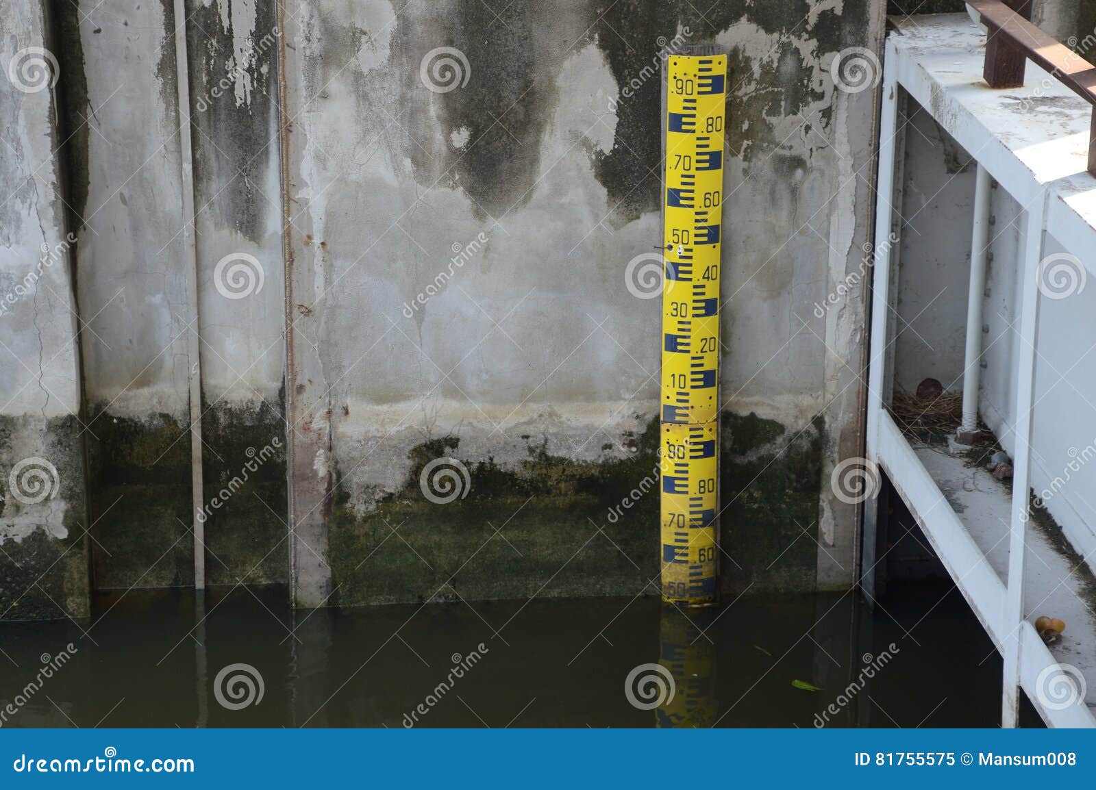 Water level staff gauge stock image. Image of measure 81755575