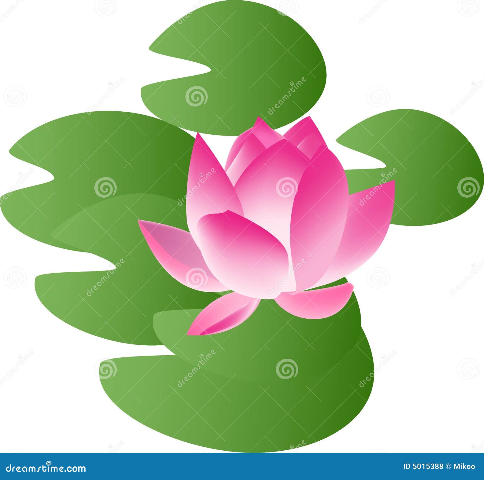 Water lily stock vector. Illustration of shadow, leaf 5015388