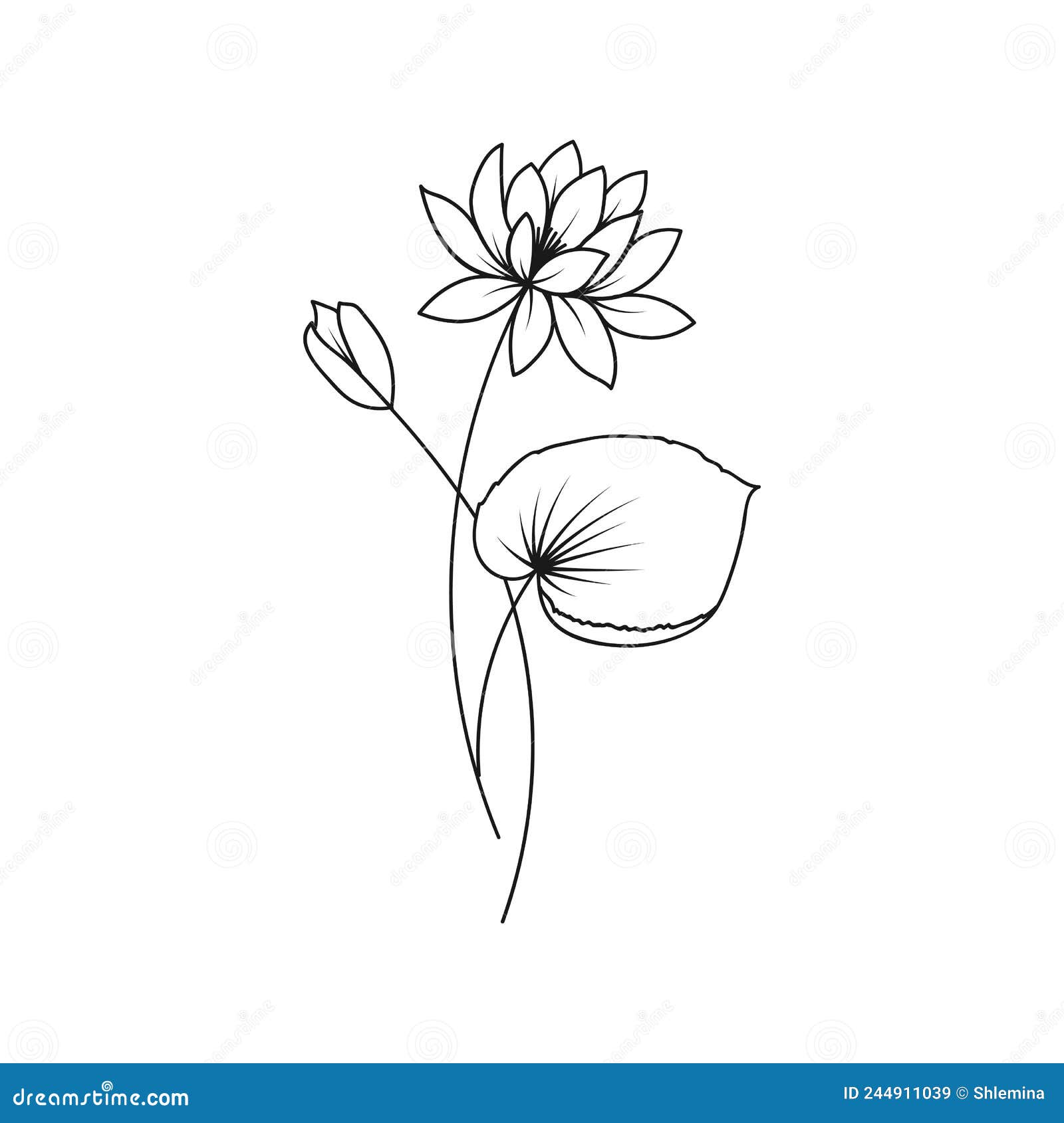 20 August Birth Flower Tattoo Ideas For Females  EntertainmentMesh