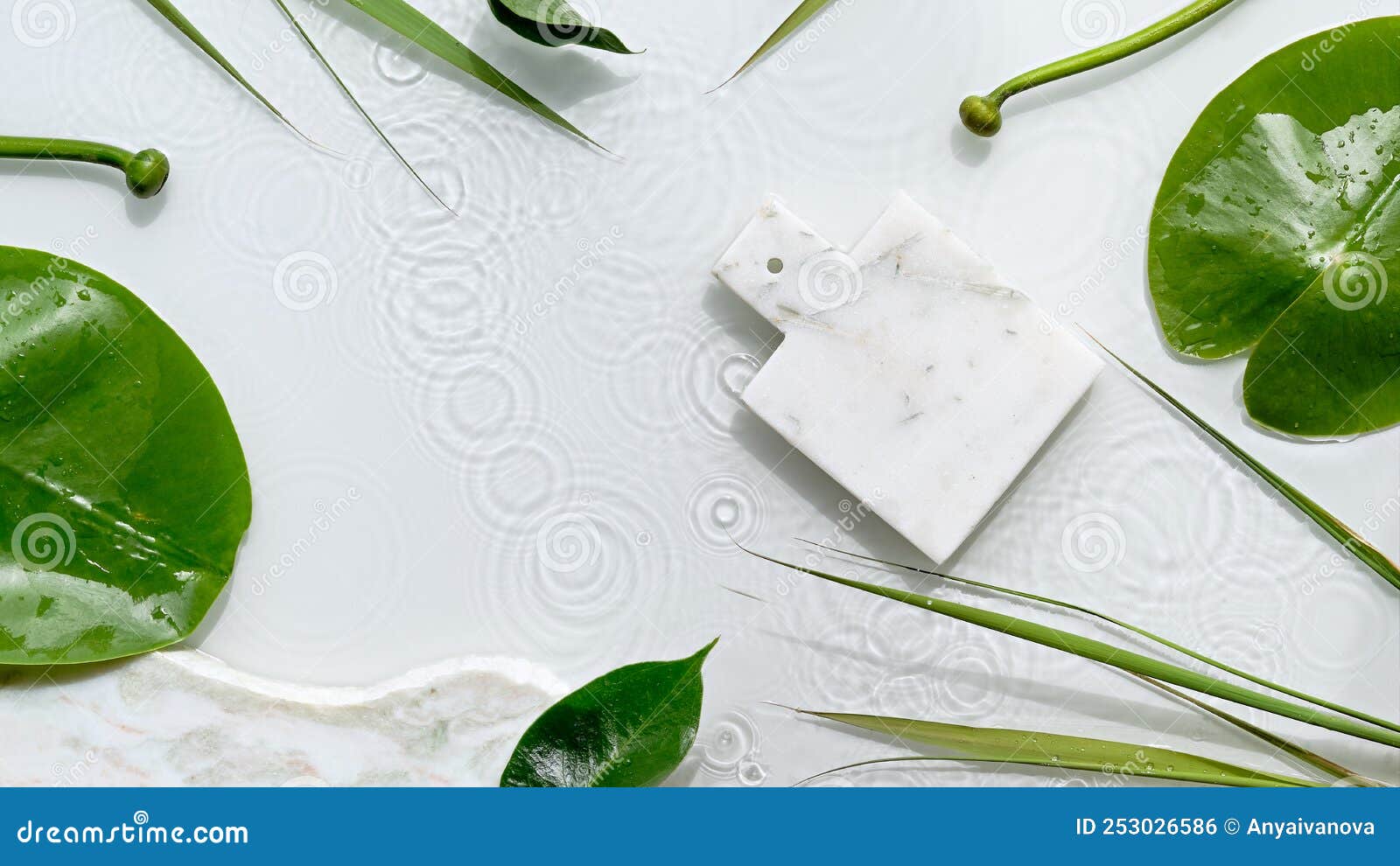 Water Lily Leaves and Buds on Off White Background Water Rings Mockup Water Lily Leaves and Buds on Off White Background Water Rings Mockup